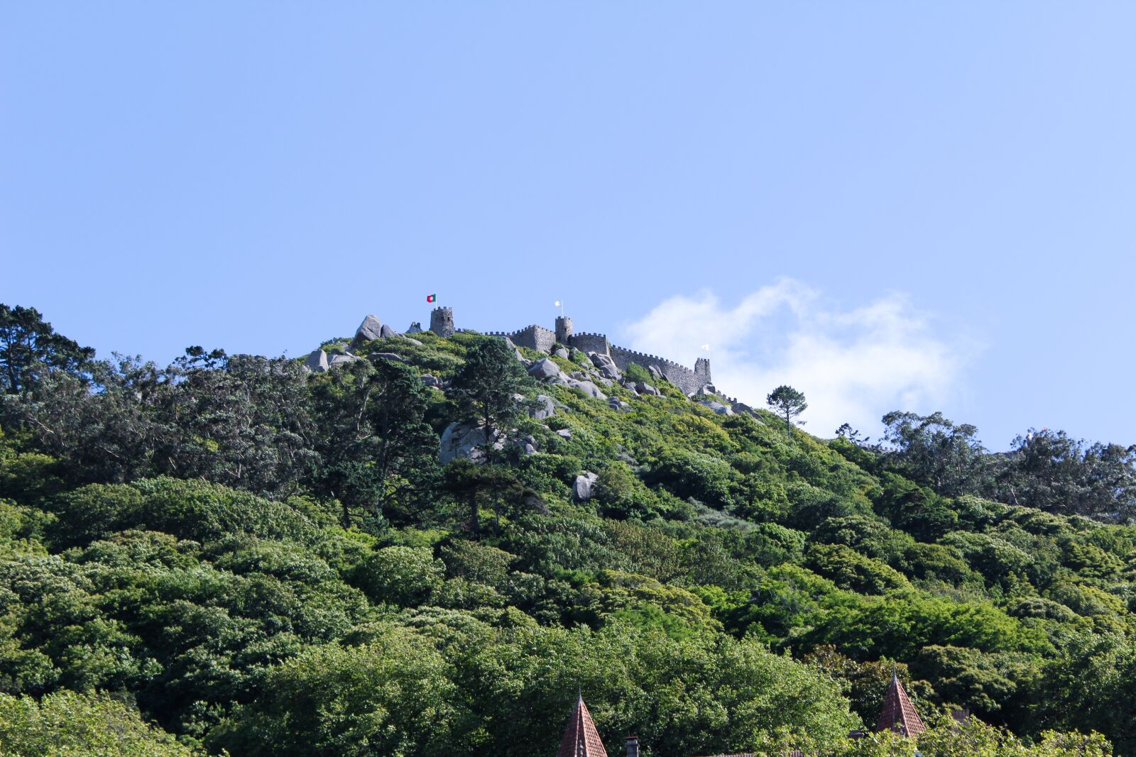 Canon EOS 600D (Rebel EOS T3i / EOS Kiss X5) sample photo. Castle, forrest, towers photography