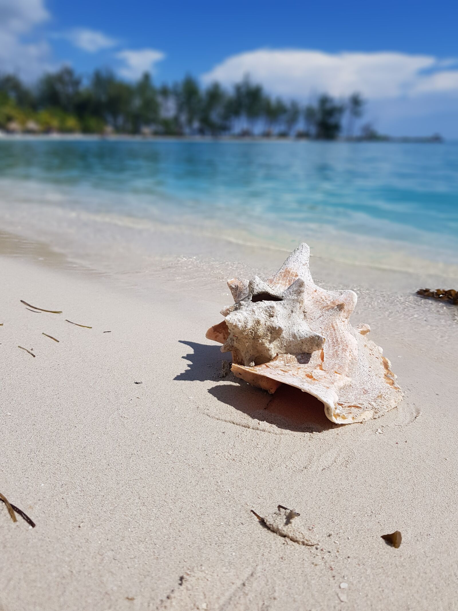 Samsung Galaxy S8 sample photo. Beach, travel, sea photography
