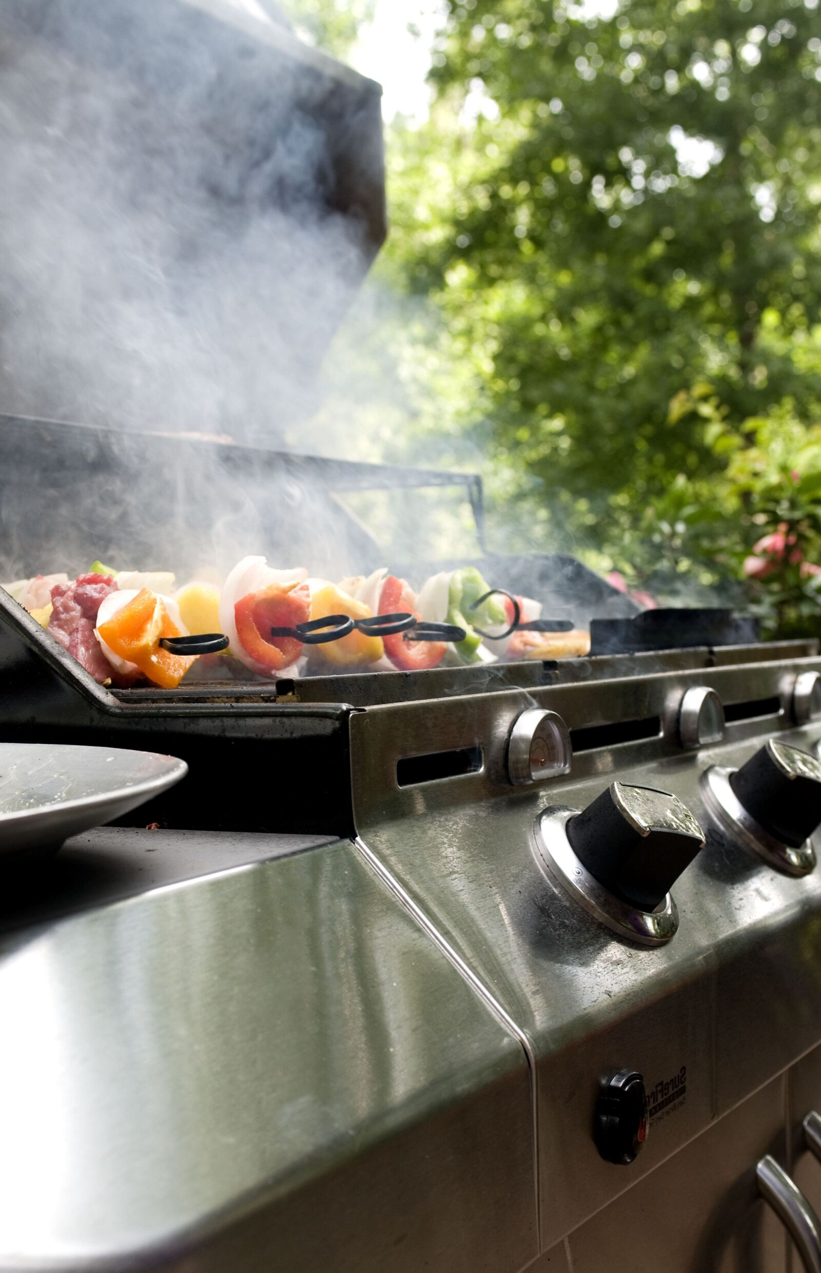 Nikon D300 sample photo. Cooking, skewers, chicken, peppers photography