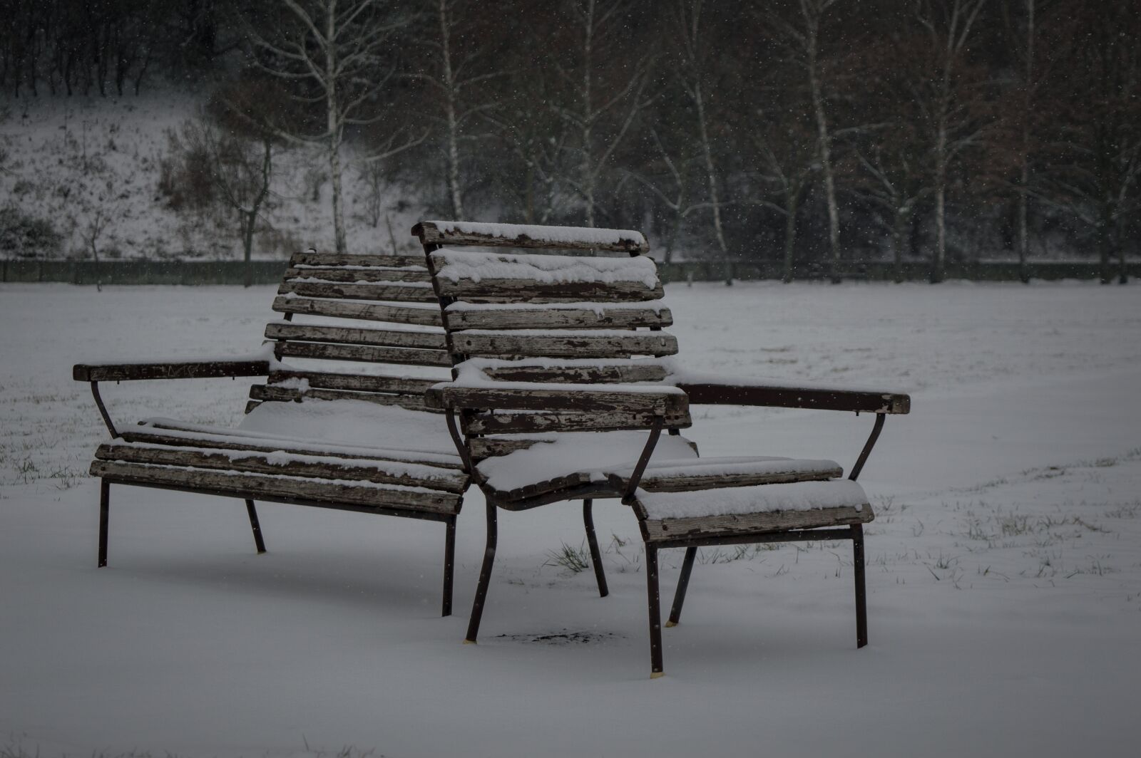 Nikon D3200 sample photo. Bench, snow, winte photography
