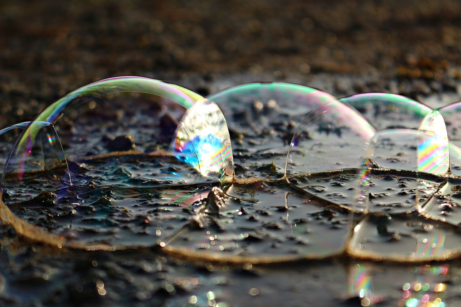 Canon EOS 100D (EOS Rebel SL1 / EOS Kiss X7) sample photo. Blow, water, puddle photography