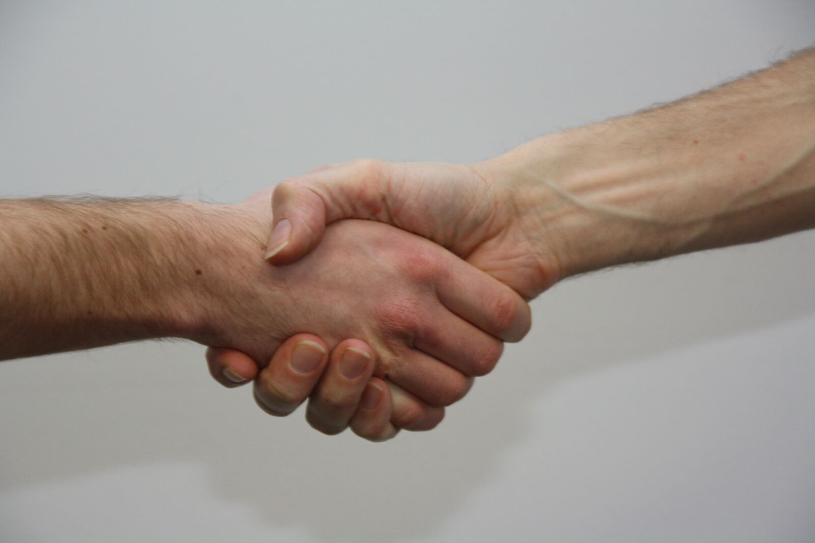 Canon EOS 1000D (EOS Digital Rebel XS / EOS Kiss F) sample photo. Hands, give, shake photography