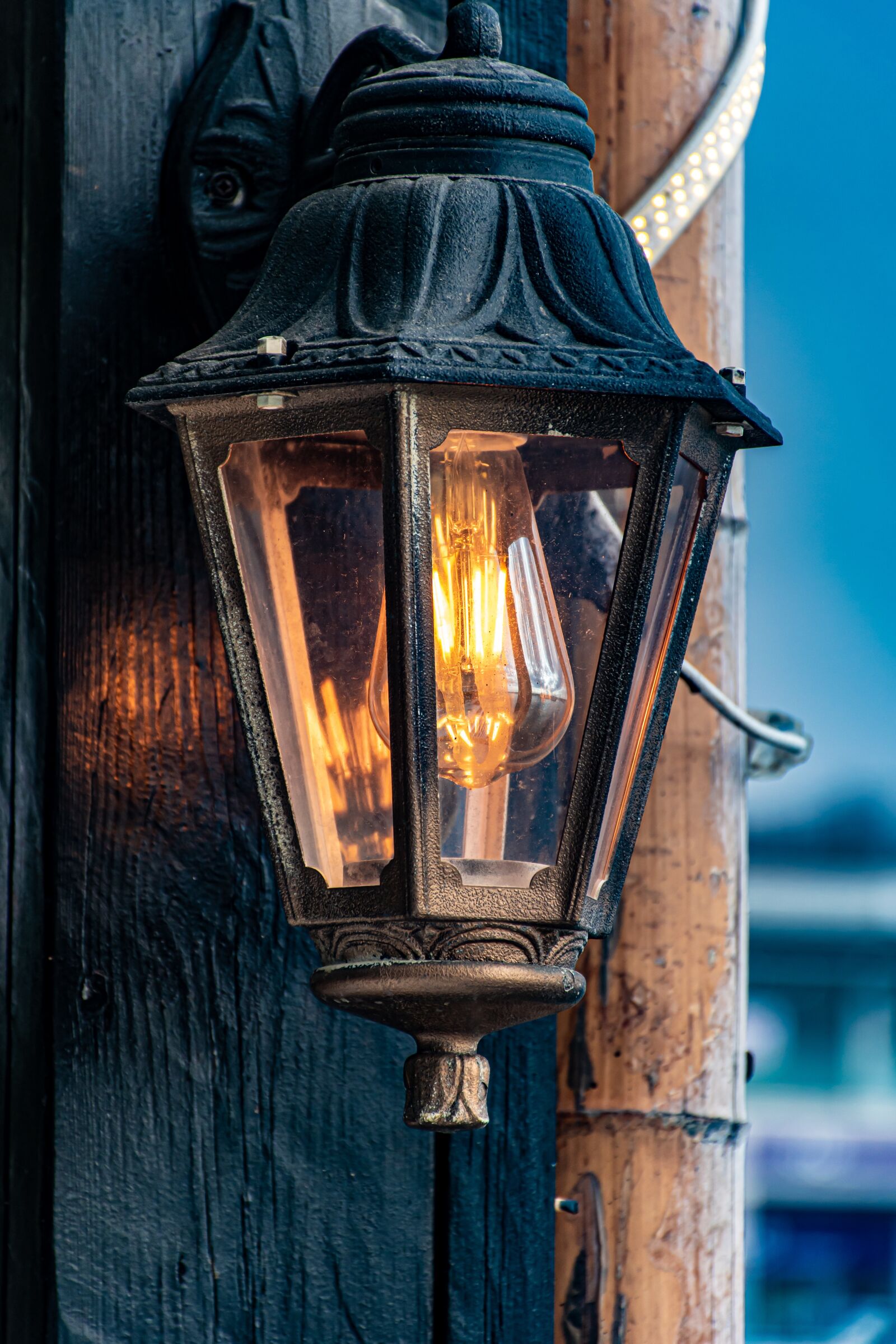 Nikon D5600 sample photo. Lamp, light, lightbulb photography