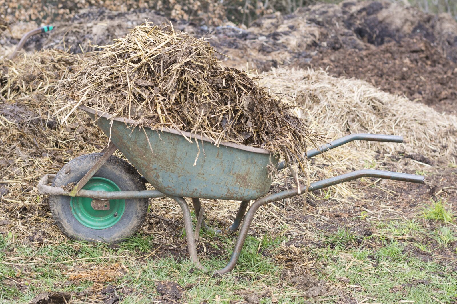 Nikon D5200 sample photo. Manure, wheelbarrow, wheelbarrows photography