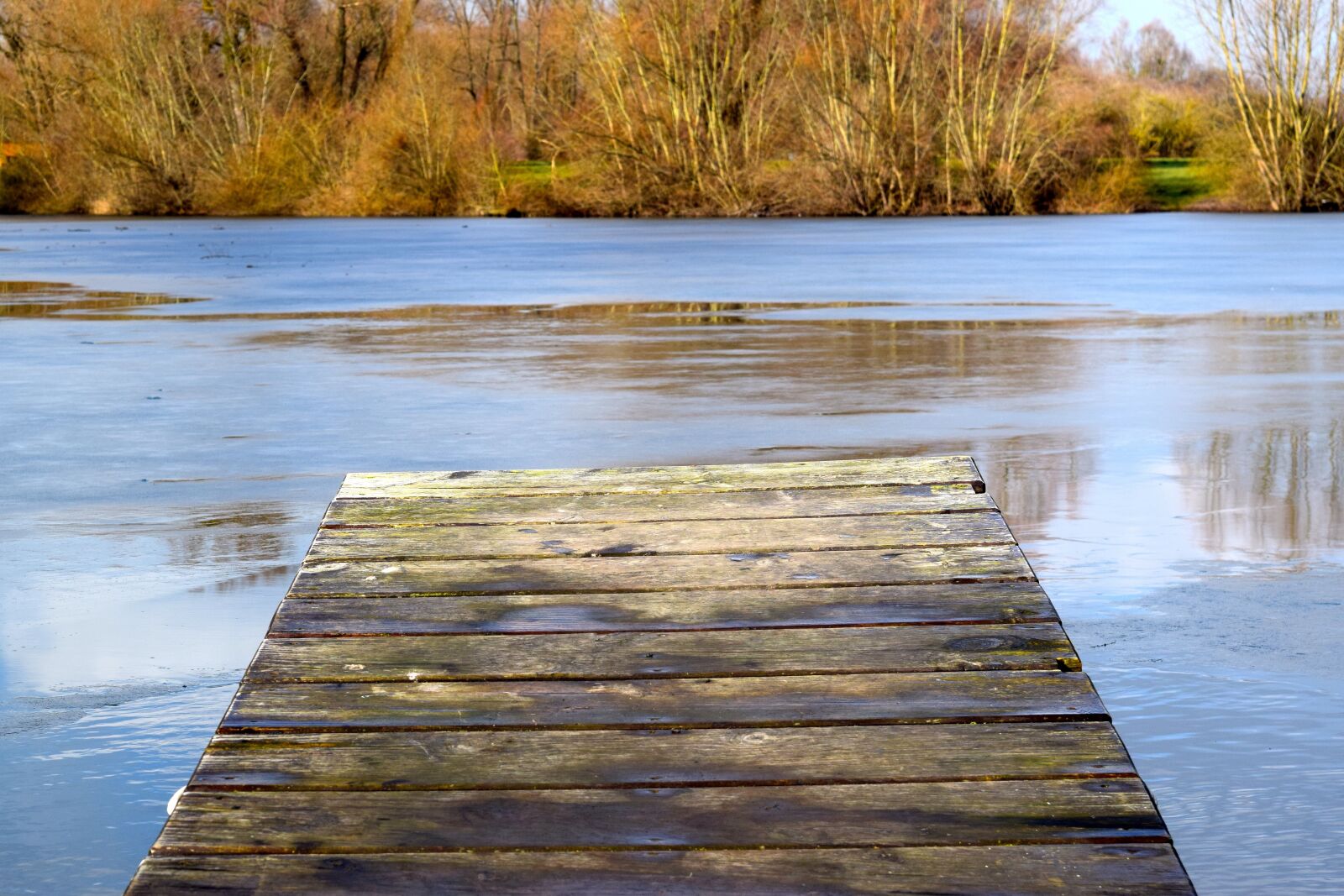 Nikon D5300 sample photo. Web, lake, winter photography