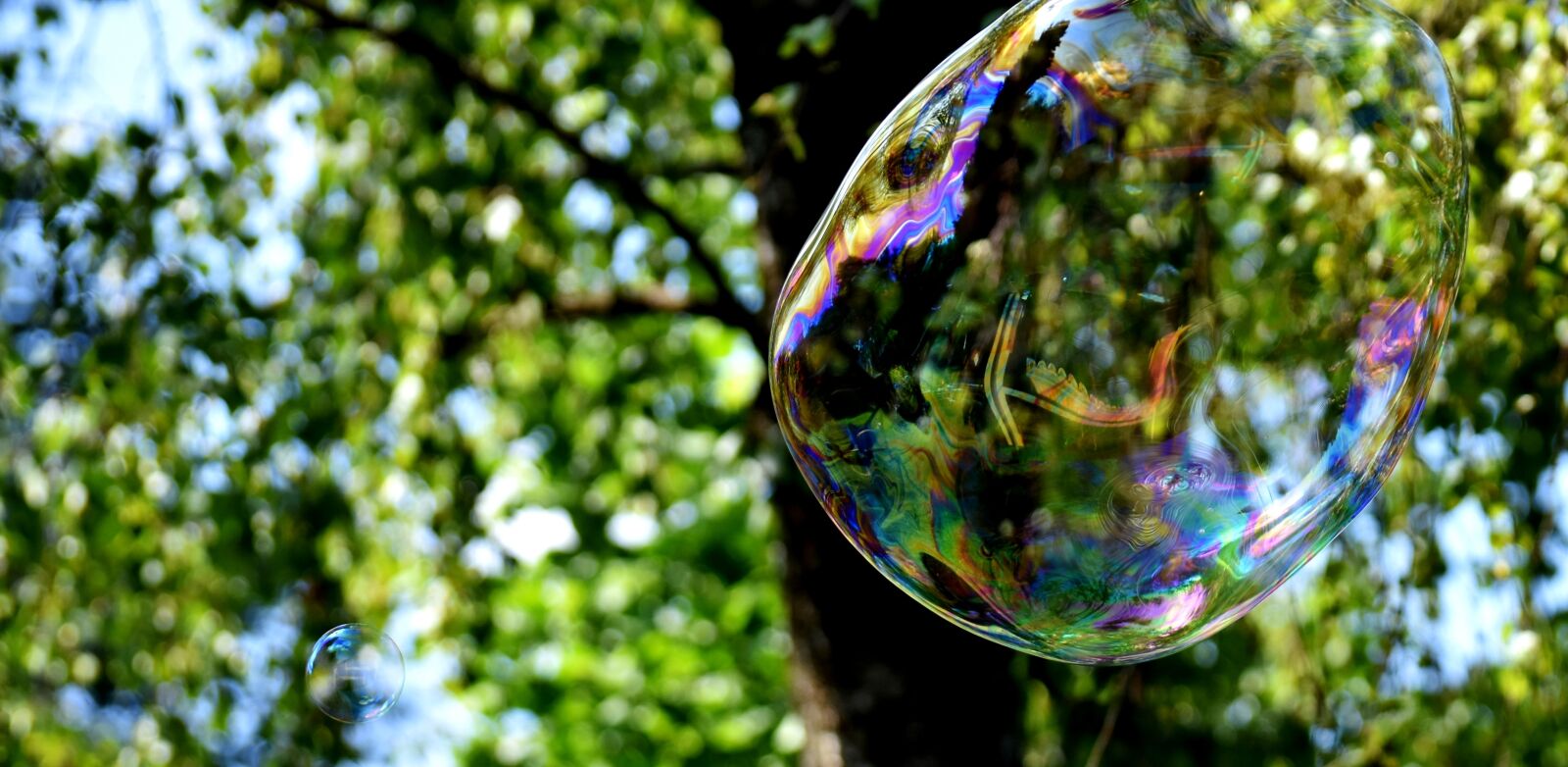 Nikon D7200 sample photo. Soap bubble, huge, large photography
