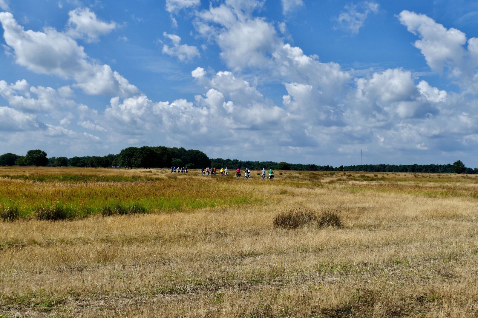 Panasonic Lumix DMC-FZ1000 sample photo. Cycling, bicycle, heide photography