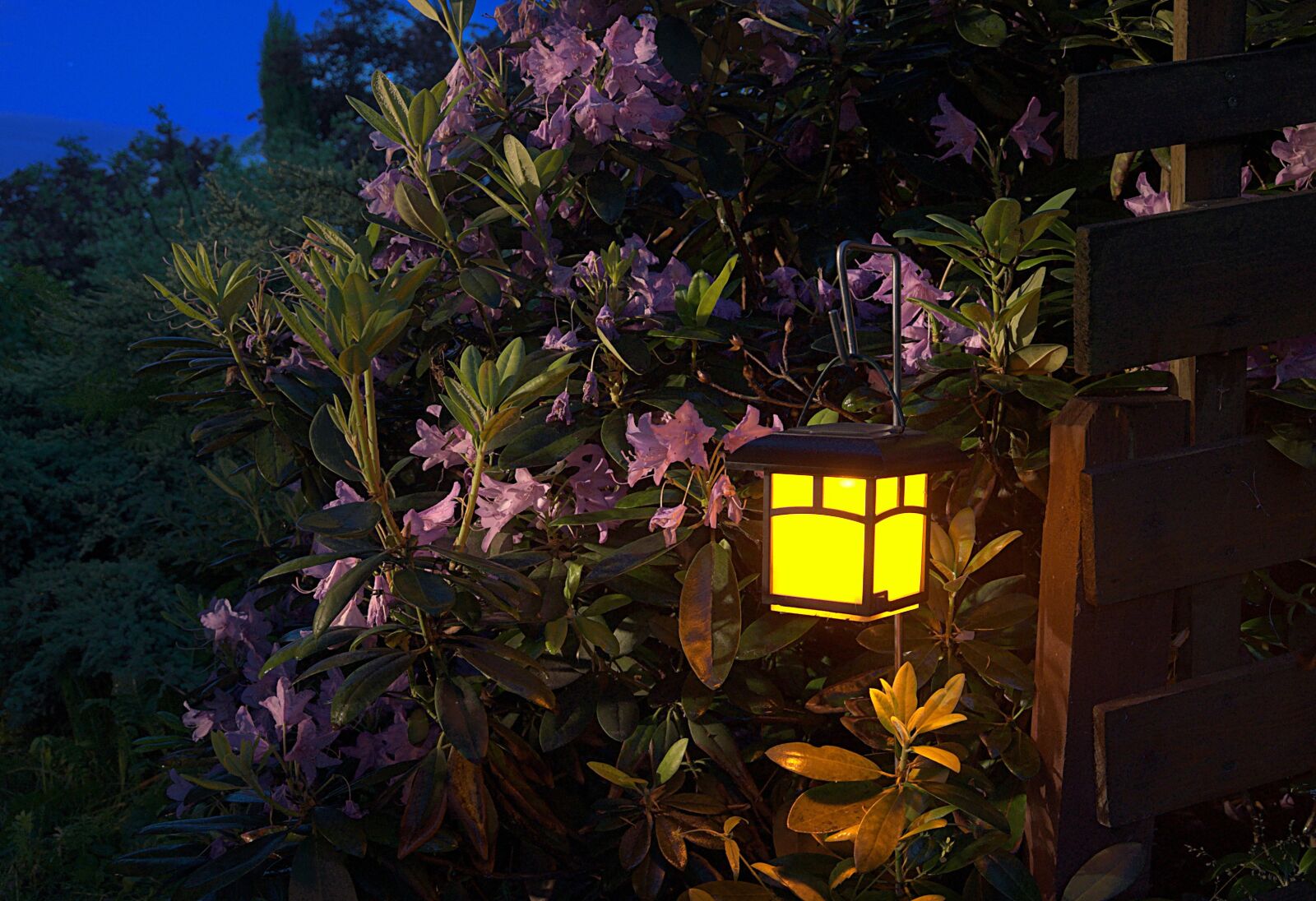 Nikon D90 sample photo. Garden, night, lantern photography
