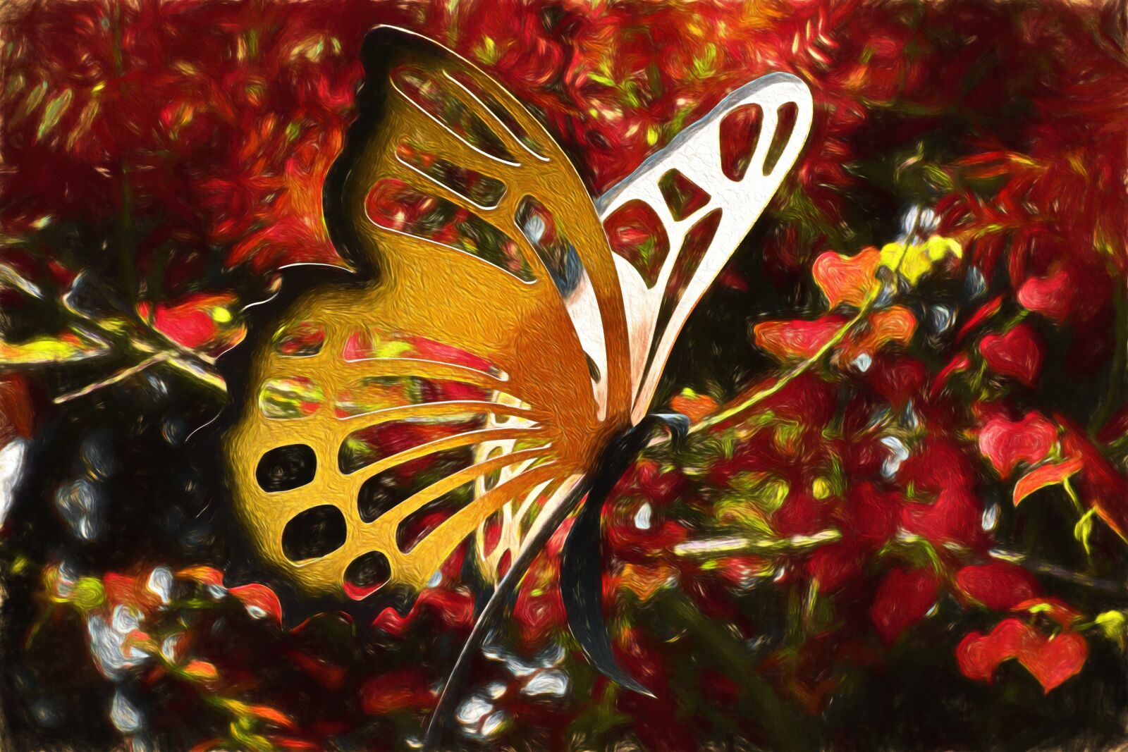 Nikon D5500 sample photo. Butterfly, garden, art photography