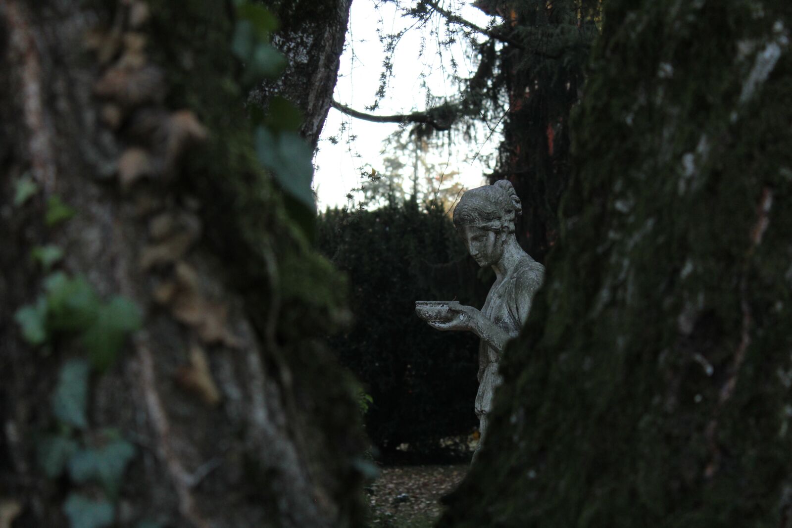 Canon EOS 1300D (EOS Rebel T6 / EOS Kiss X80) sample photo. Statue, crespi d'adda, nature photography