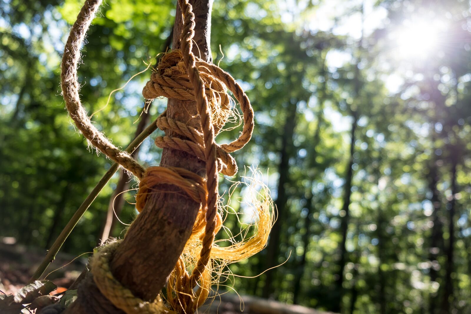 Fujifilm X-T2 sample photo. Rope, playground, children photography