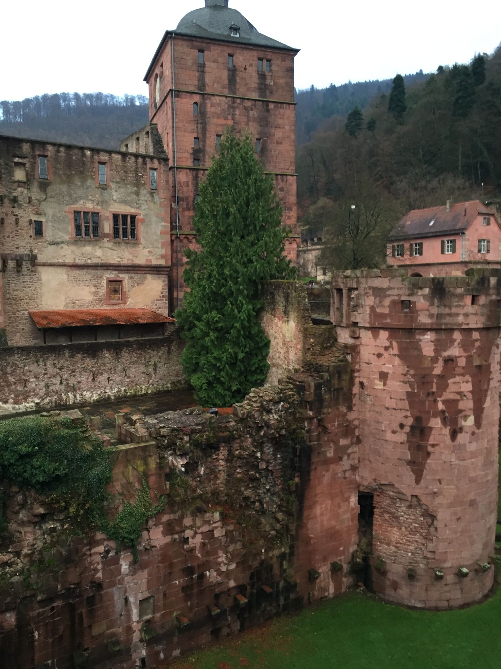 Apple iPhone 6 sample photo. Heidelberg, castle, heidelberger schloss photography