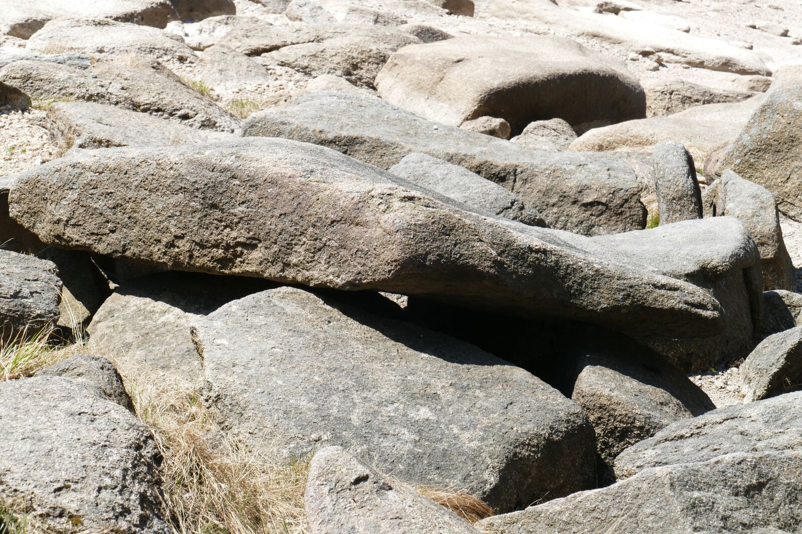Panasonic Lumix DMC-FZ1000 sample photo. Stones, nature, riverbed photography