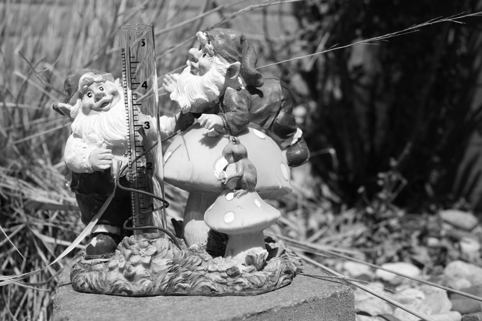 Canon EOS 1000D (EOS Digital Rebel XS / EOS Kiss F) sample photo. Black, and, white, black photography