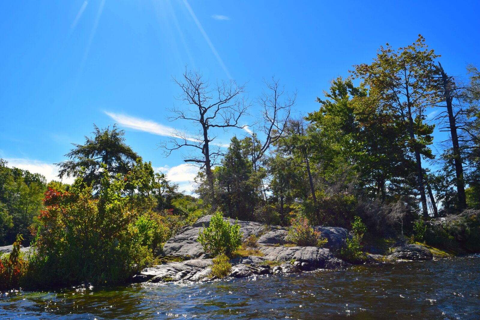 Nikon D3300 sample photo. Lake, trees, sunshine photography