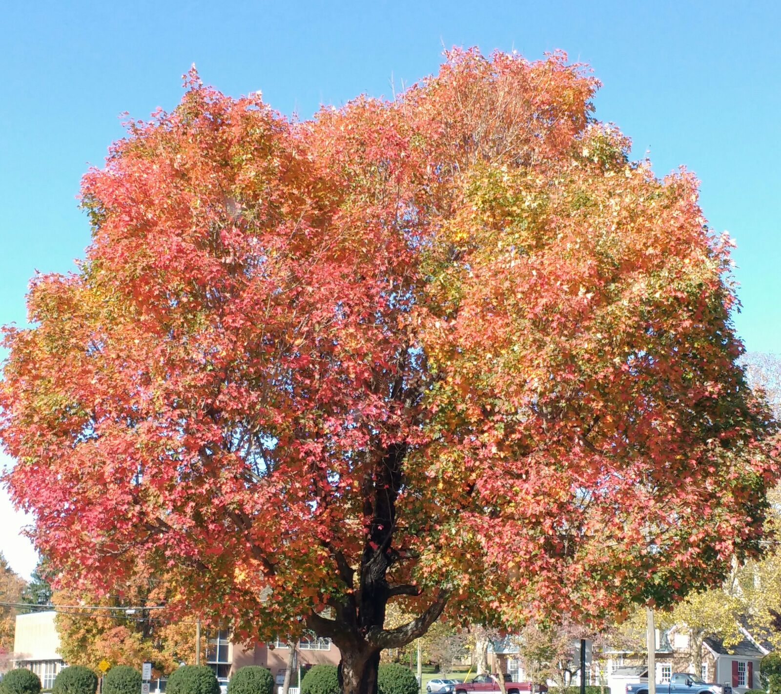 Motorola MotoG3 sample photo. Fall, shenandoah valley, staunton photography