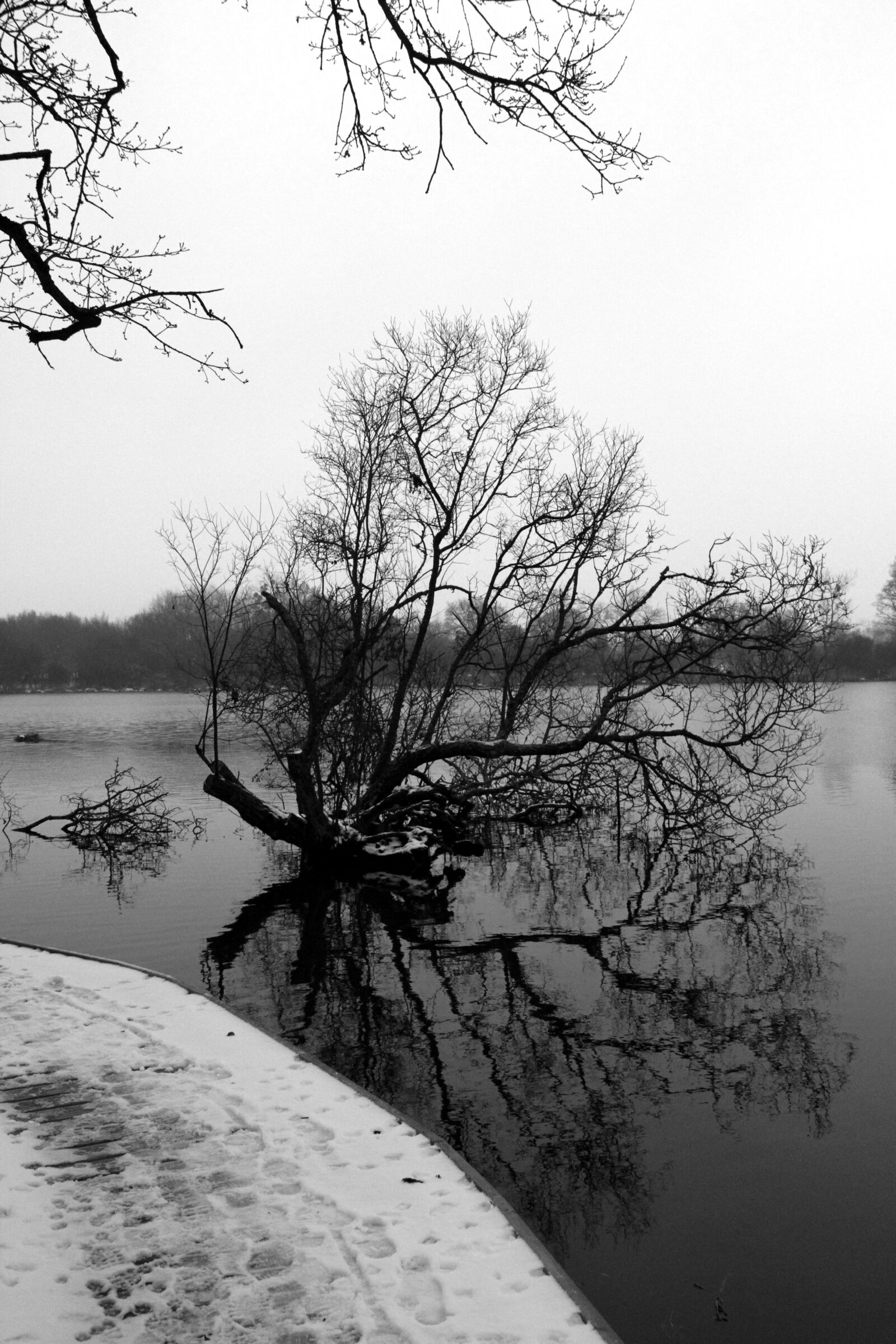 Canon EOS 7D sample photo. Tree, snow, bridge photography