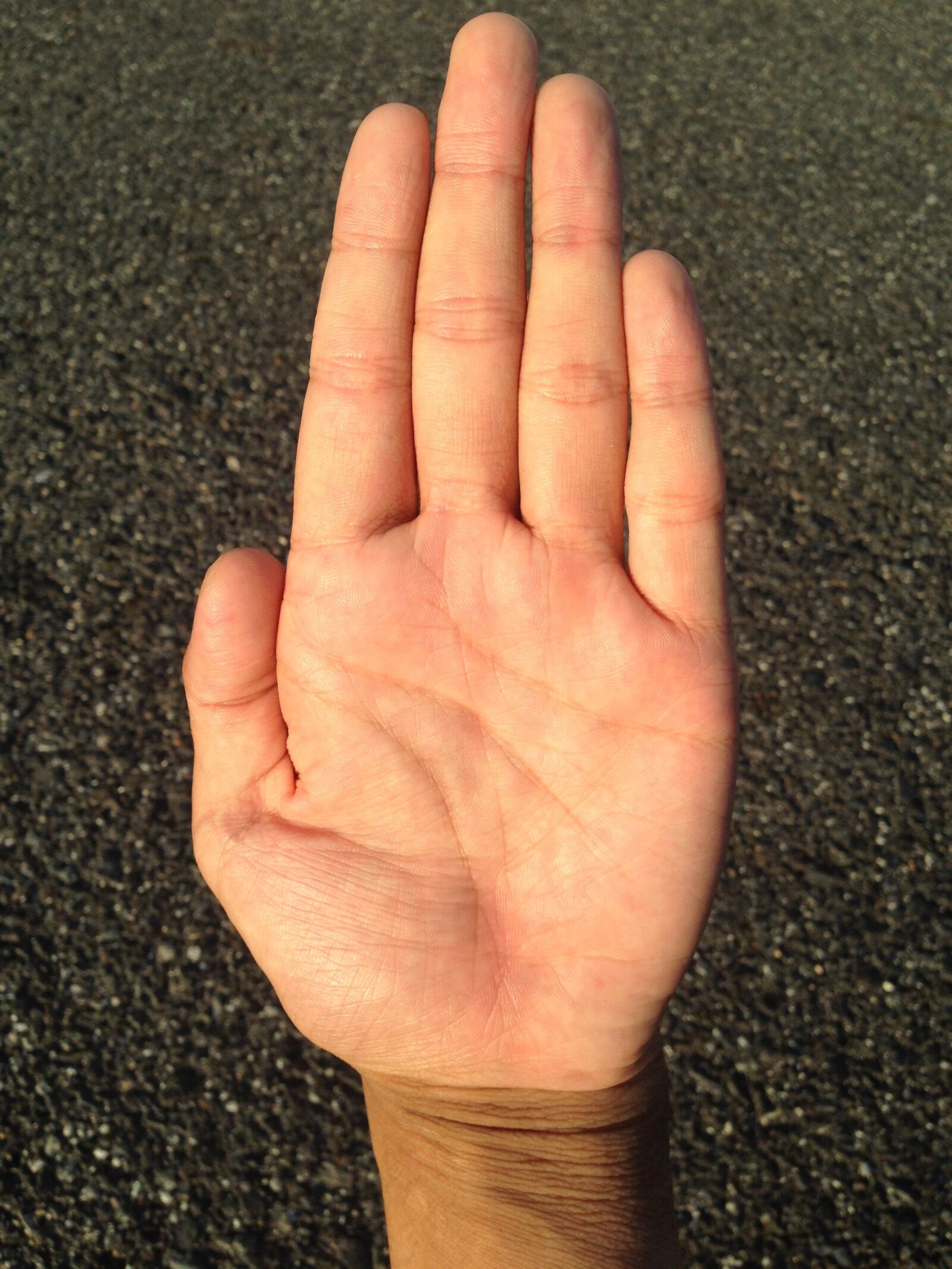 iPhone 5 back camera 4.12mm f/2.4 sample photo. Palm, hand, finger photography