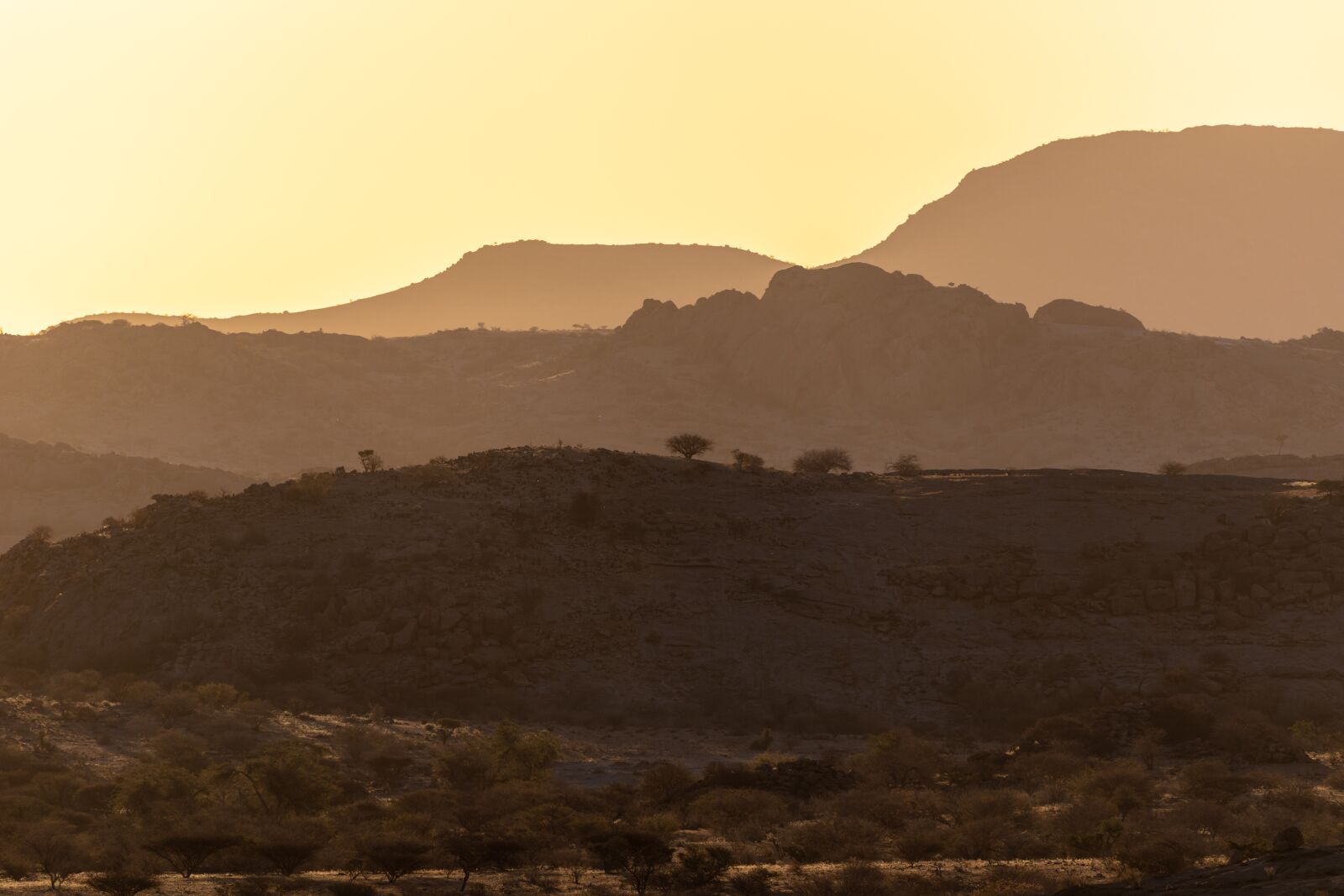 150-600mm F5-6.3 DG OS HSM | Contemporary 015 sample photo. Sunset, africa, namibia photography