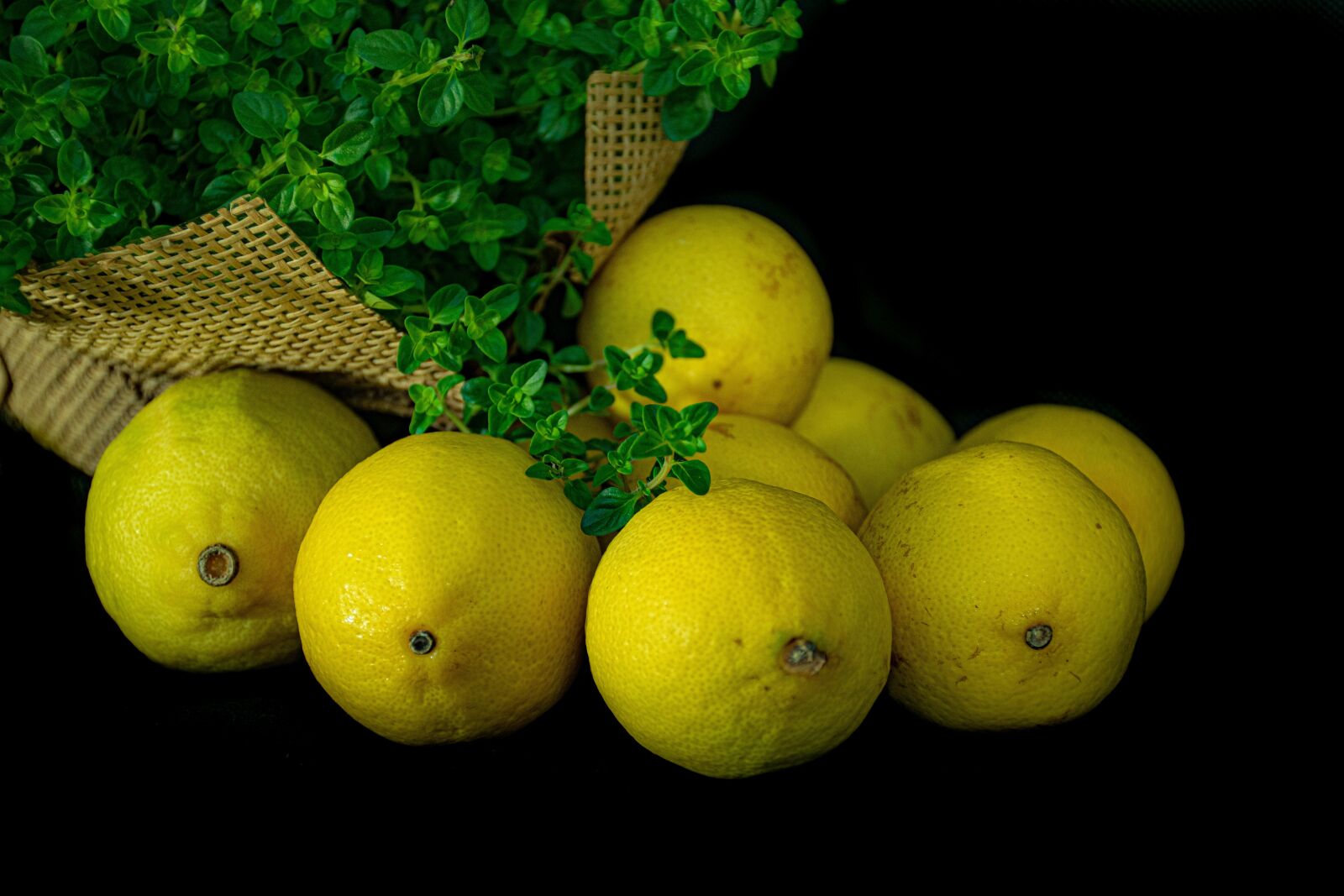 Nikon D5600 sample photo. Lemons, citrus, just fruits photography