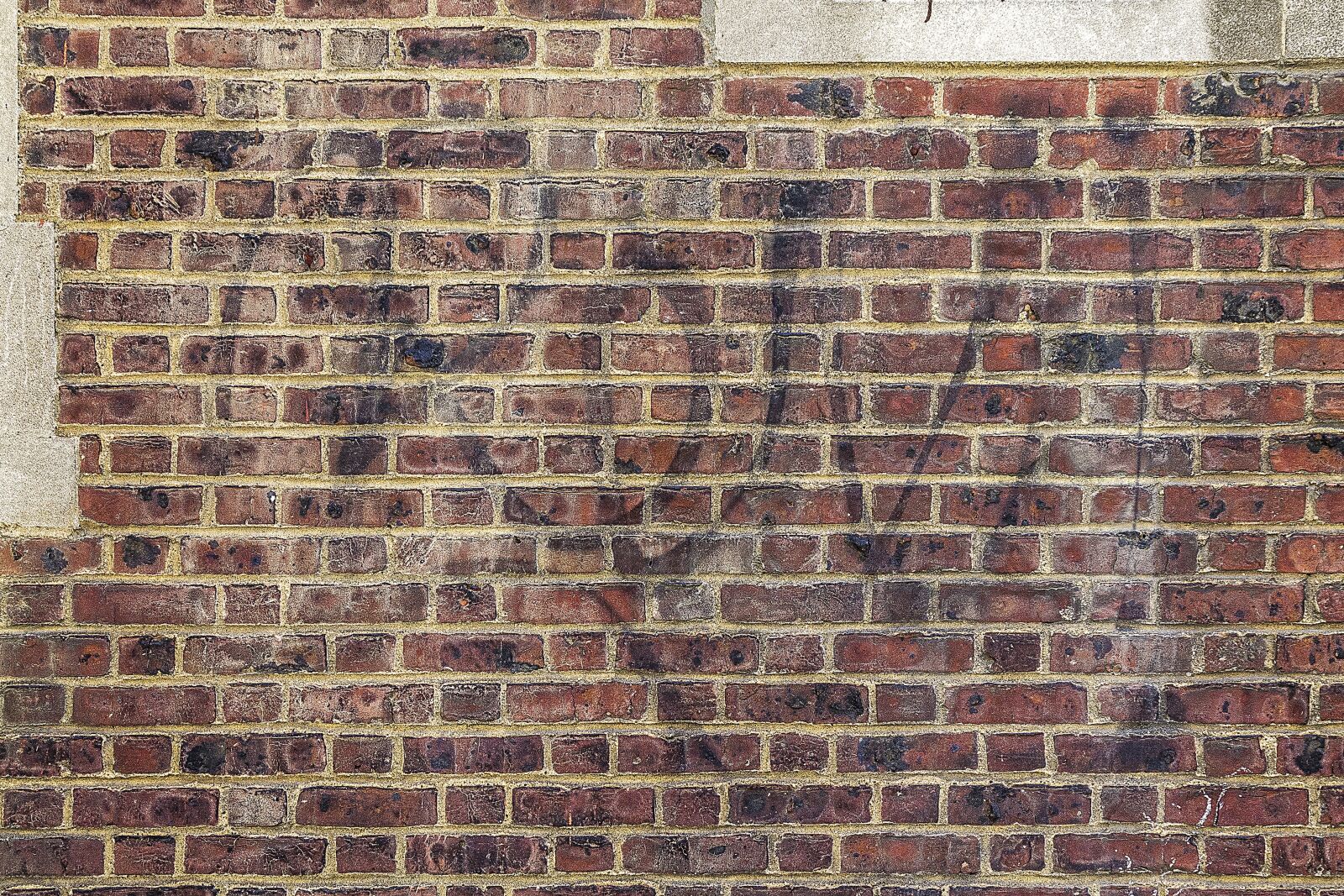 Canon EOS 1100D (EOS Rebel T3 / EOS Kiss X50) sample photo. Background, texture, wall photography