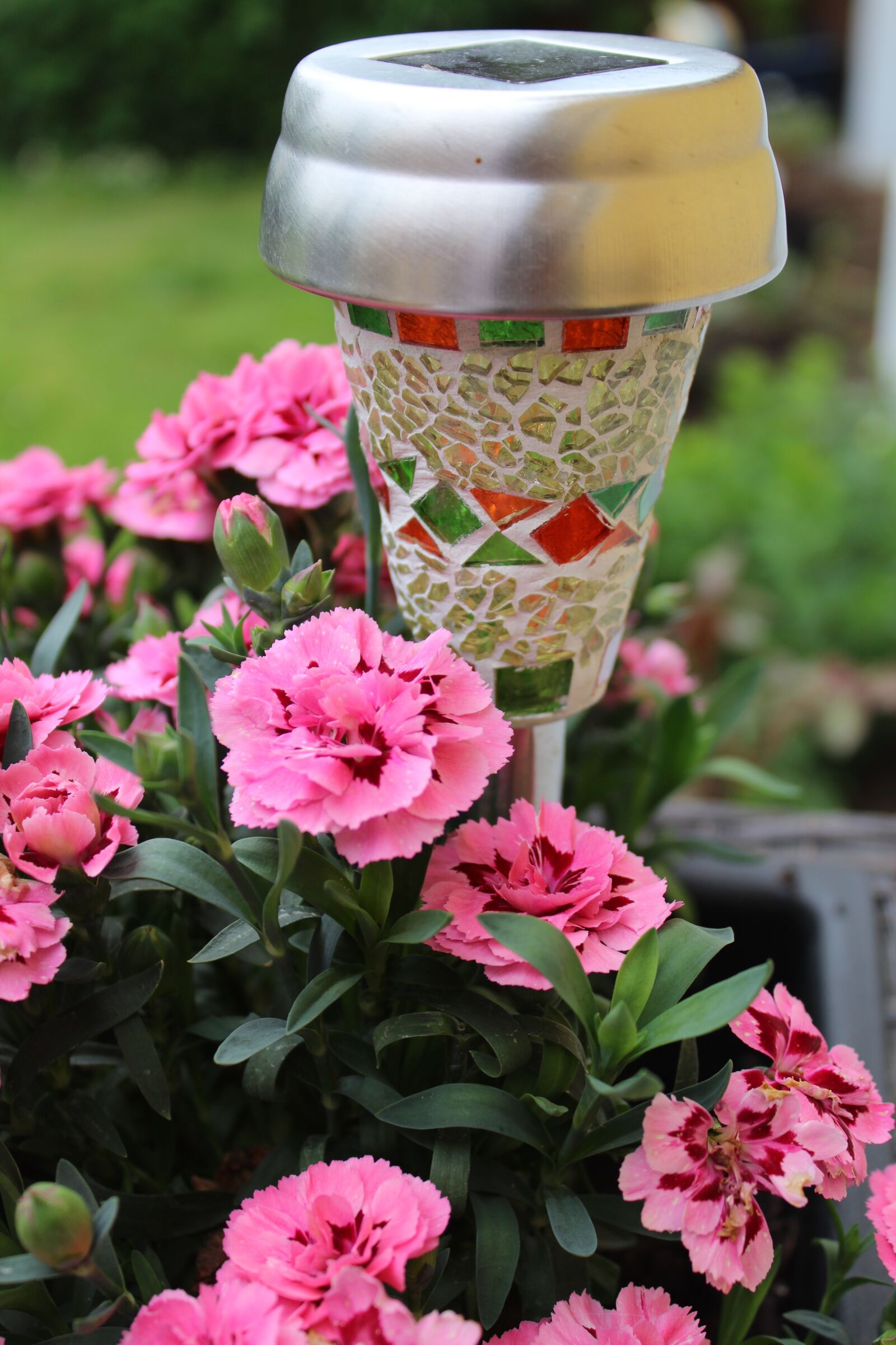 Canon EOS 1300D (EOS Rebel T6 / EOS Kiss X80) sample photo. Flowers, lamp, lantern photography