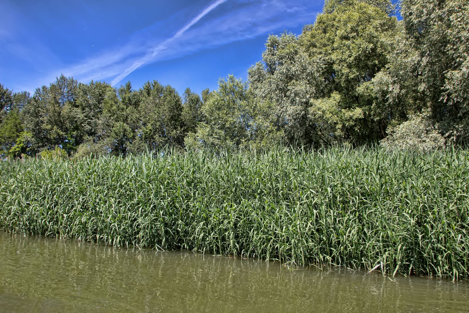 Canon EOS 600D (Rebel EOS T3i / EOS Kiss X5) sample photo. Danube, slovakia, nature photography