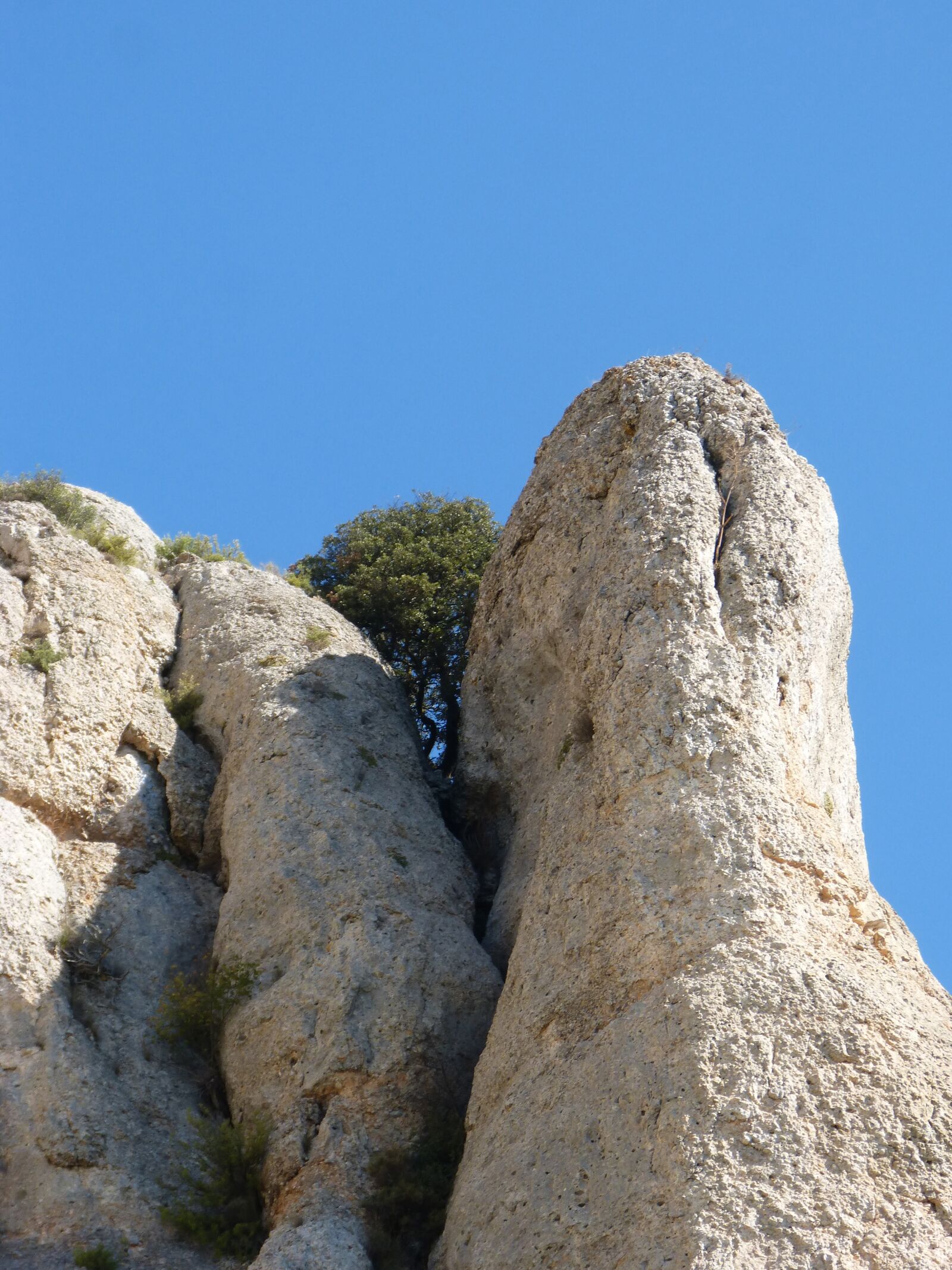 Panasonic DMC-FZ62 sample photo. Rocks, needle rock, tree photography