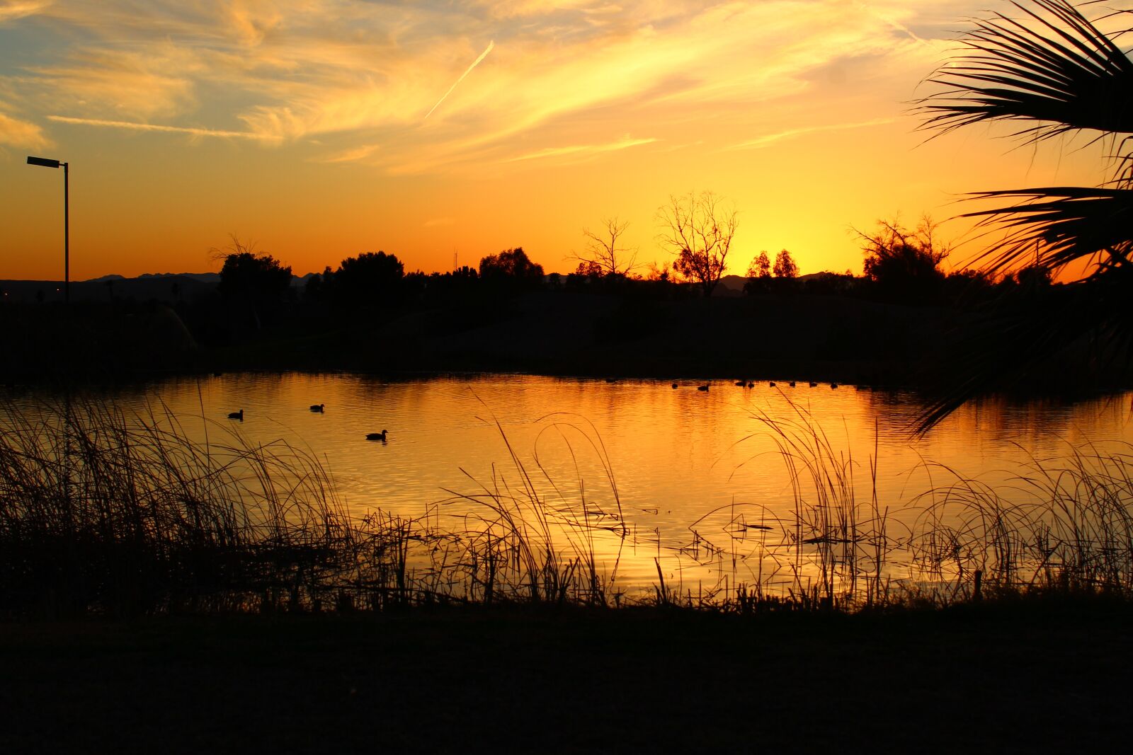 Canon EOS 1200D (EOS Rebel T5 / EOS Kiss X70 / EOS Hi) sample photo. Sunset, arizona, water photography
