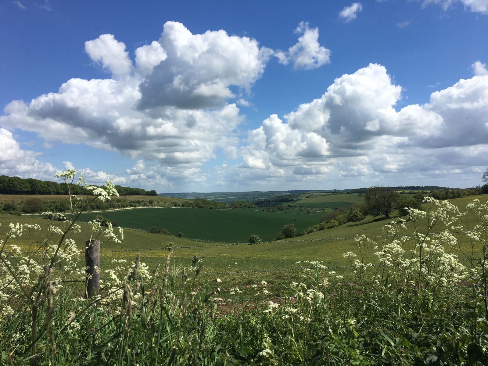 Apple iPhone 6s sample photo. Cumulus, fields, ridgeway photography