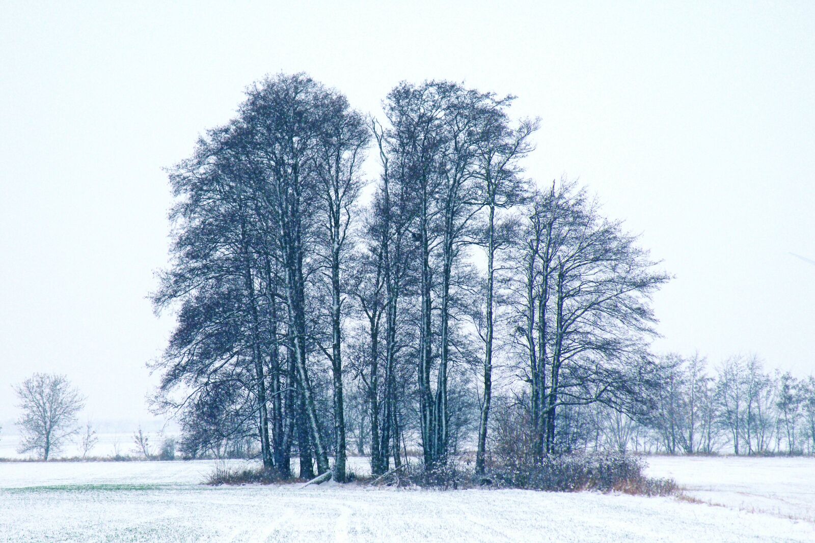 Fujifilm FinePix S8100fd sample photo. Winter impressions, wintry, snow photography