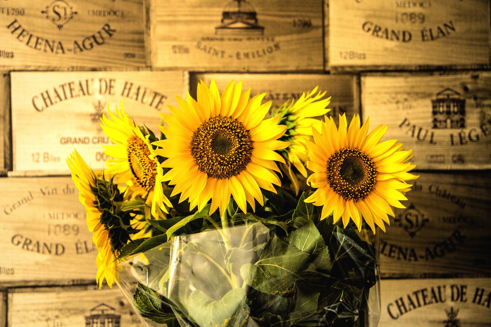 Canon EOS 7D sample photo. Flowers, sunflowers, yellow photography