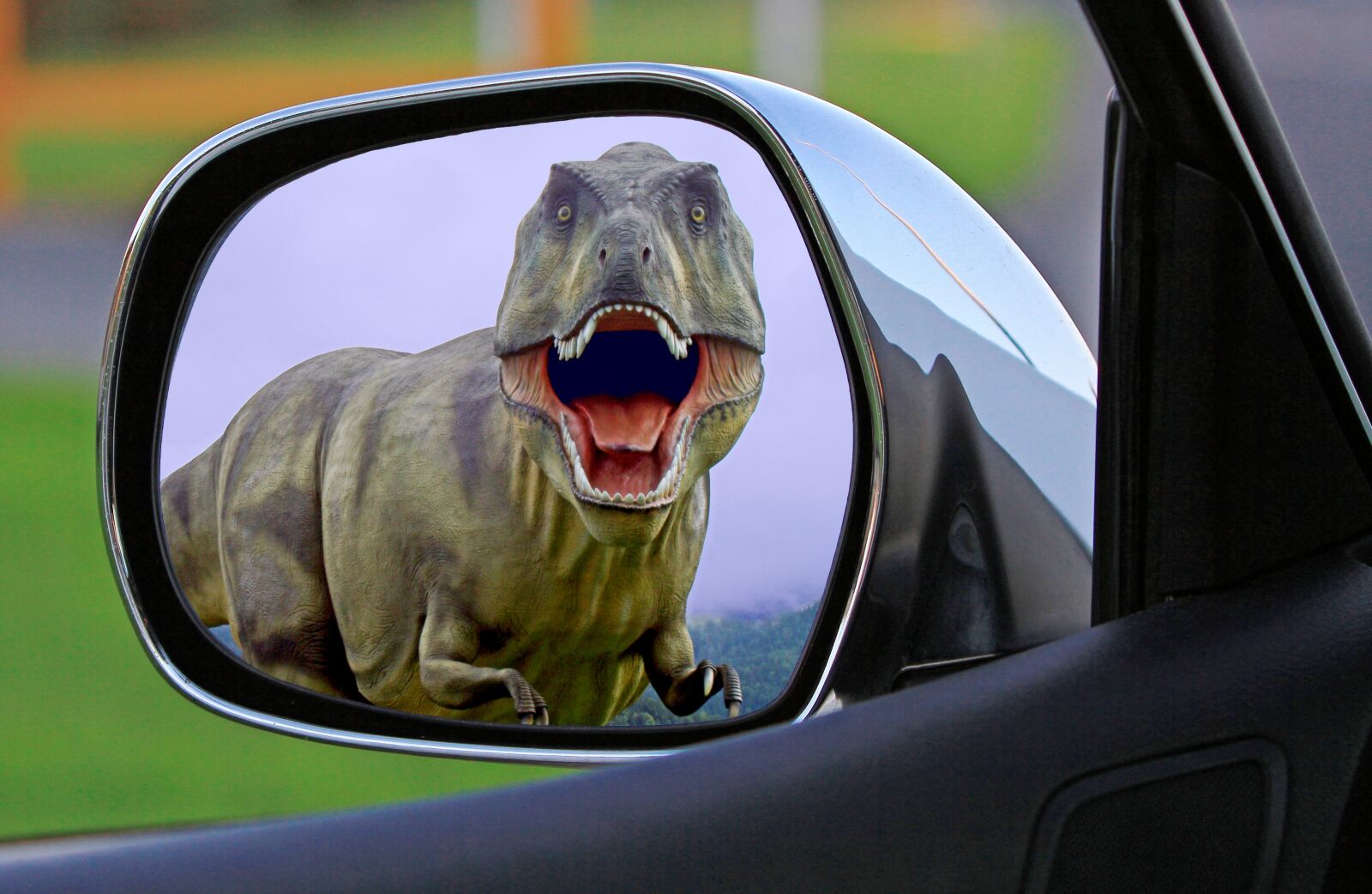Canon EOS 7D sample photo. Dinosaur, mirror, wing mirror photography