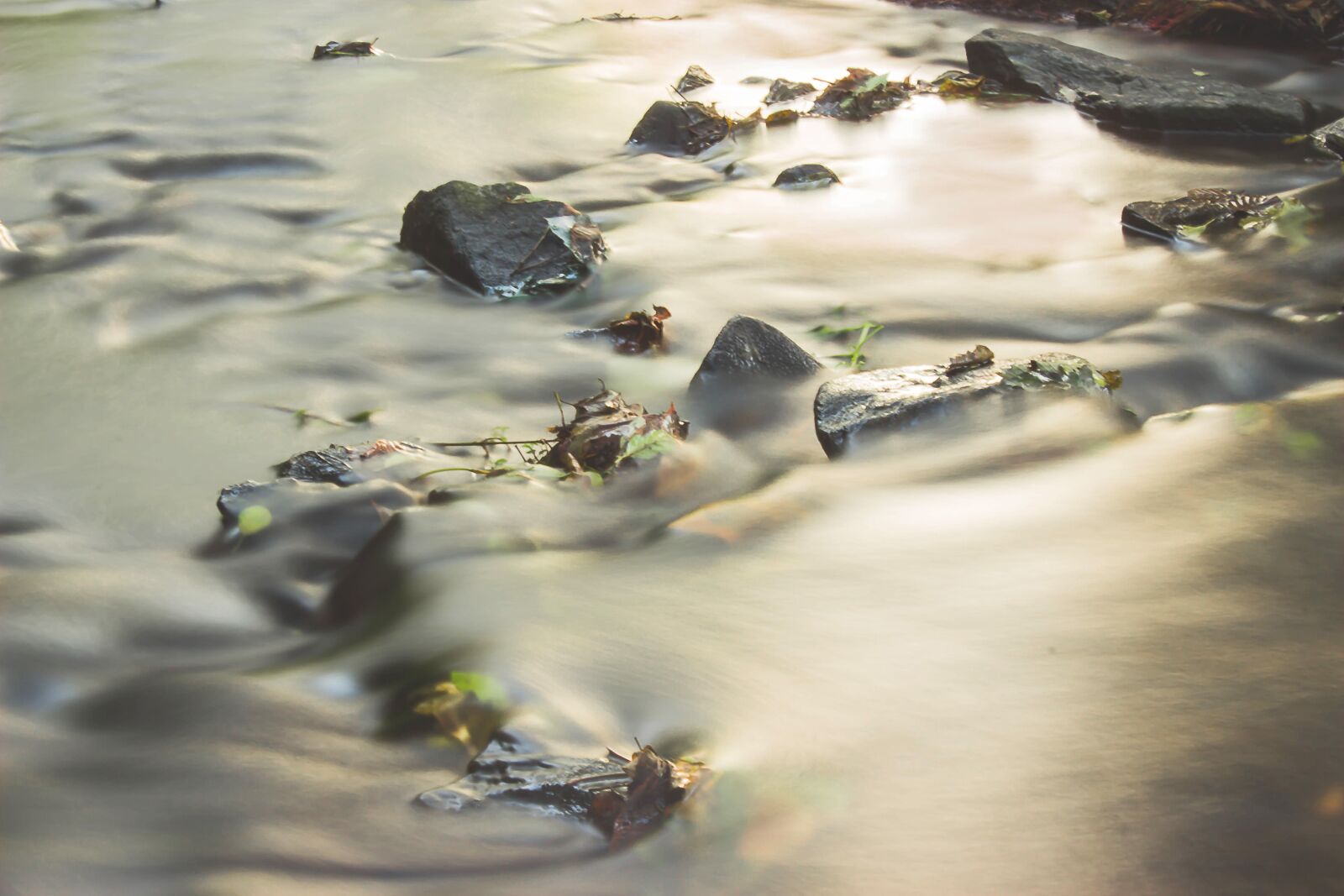Canon EOS 650D (EOS Rebel T4i / EOS Kiss X6i) sample photo. River, water, movement photography