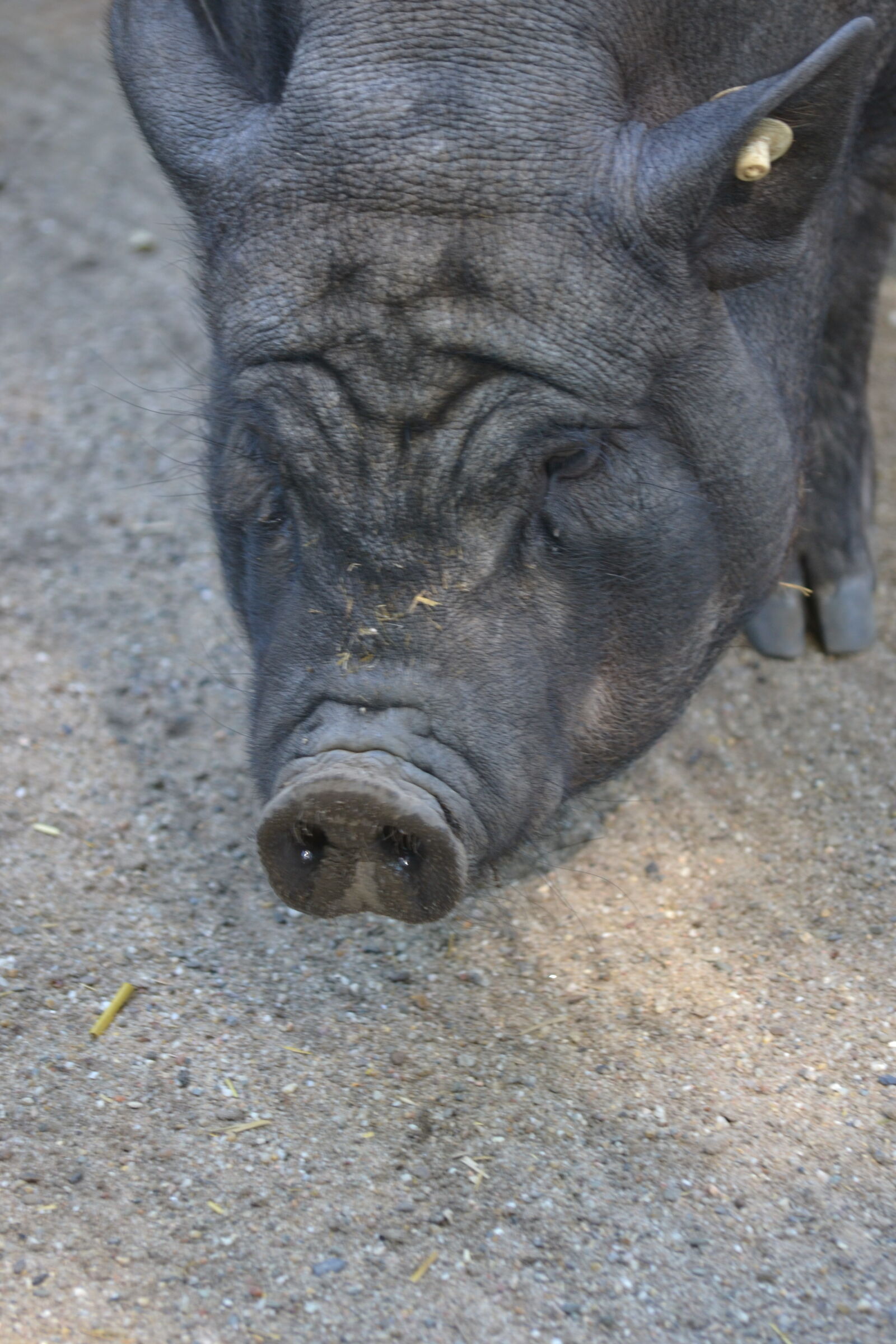 Nikon D3100 sample photo