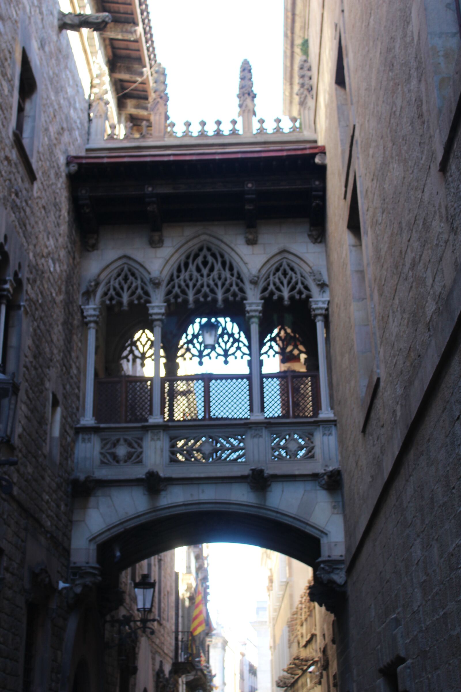 Canon EOS 1200D (EOS Rebel T5 / EOS Kiss X70 / EOS Hi) sample photo. Bridge, structure, door photography