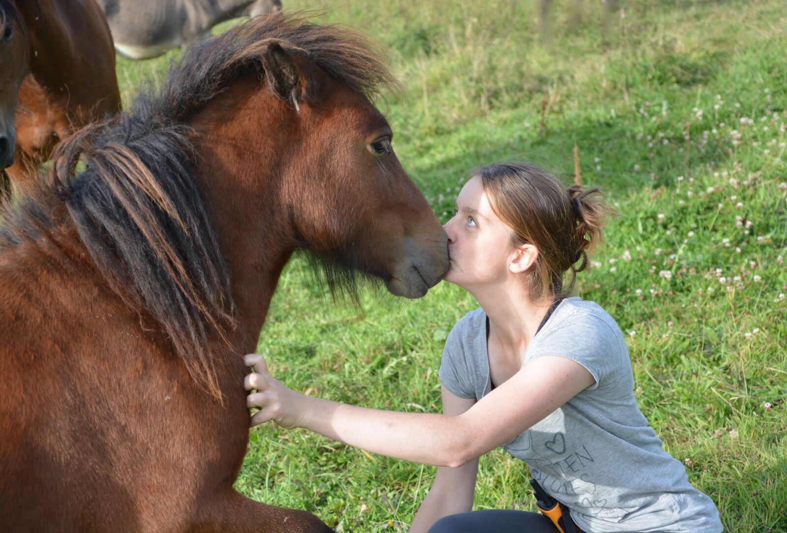 Nikon D5200 sample photo. Kiss, shetland pony, girl photography