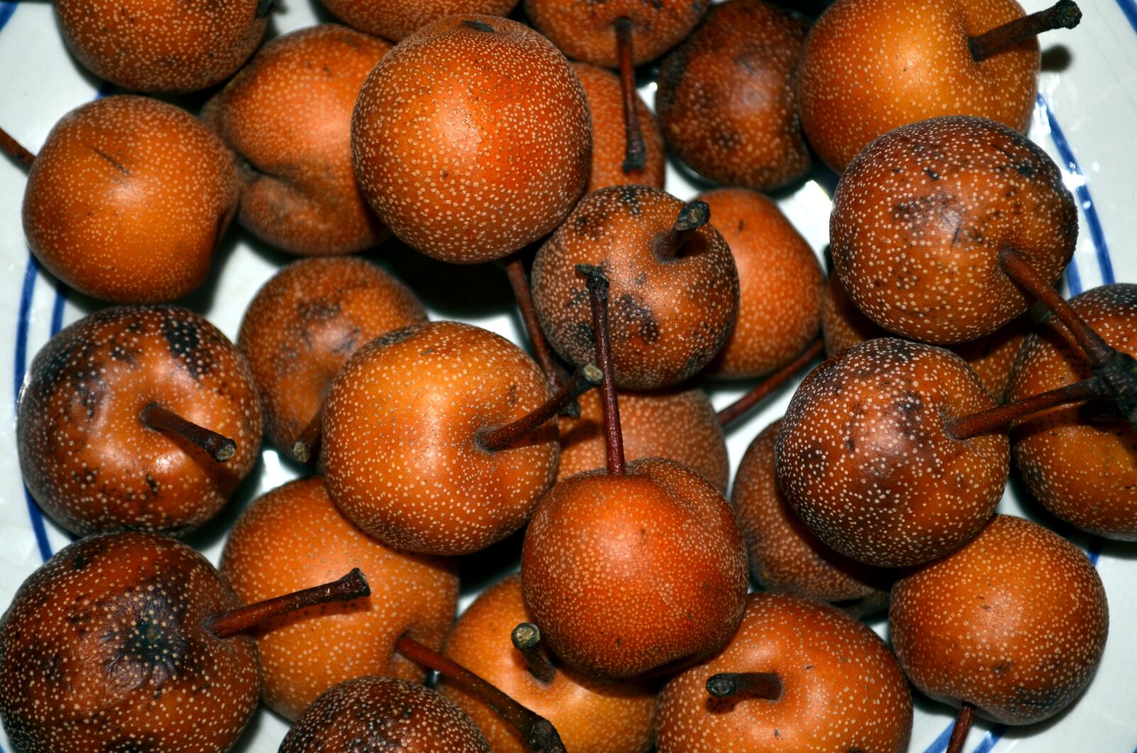 Nikon D5100 sample photo. Pears nashi, nashi, pears-apples photography