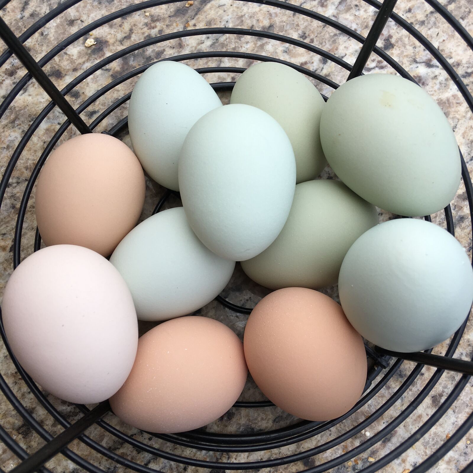 Apple iPhone 6s Plus sample photo. Eggs, farm, fresh photography