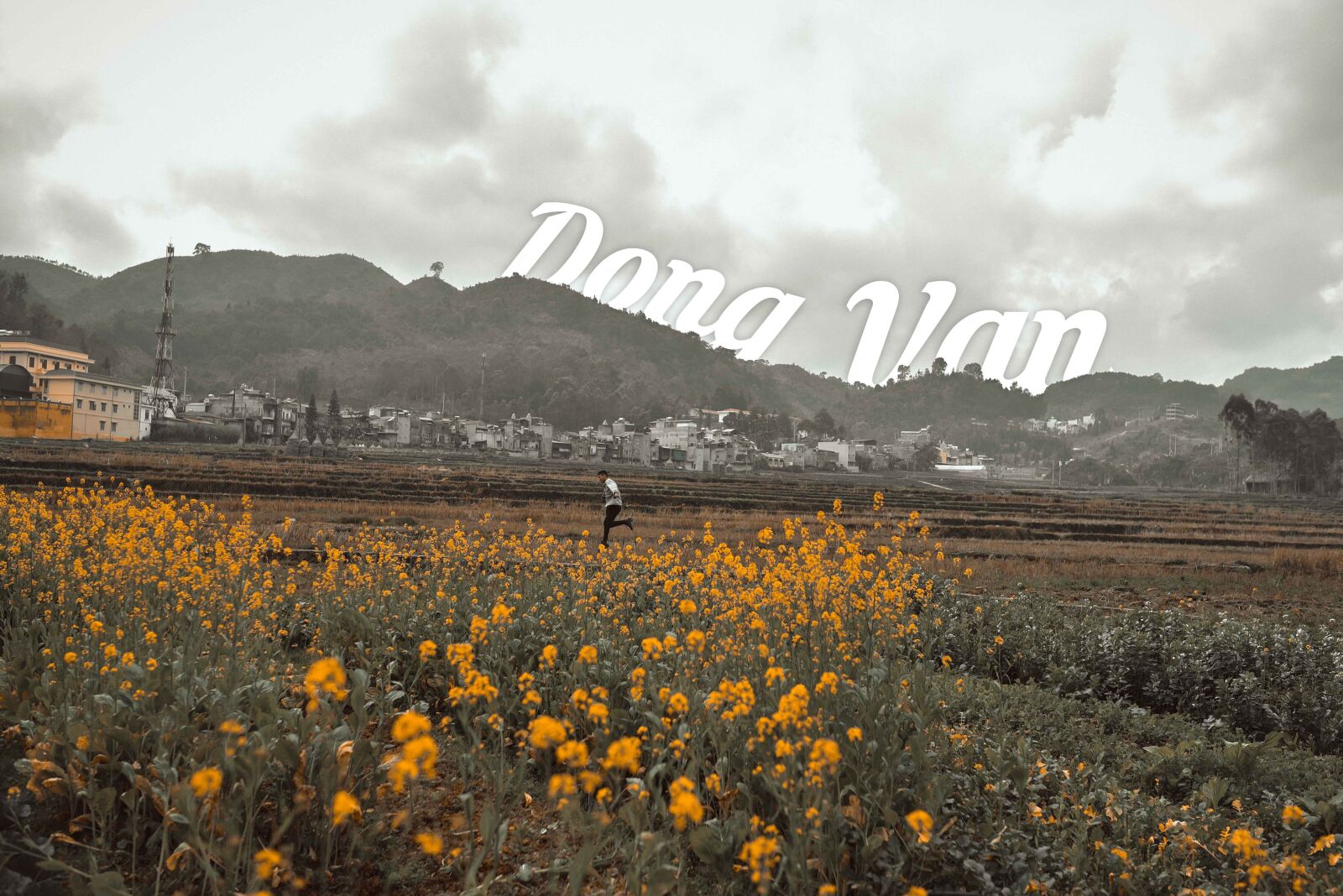 Nikon D750 sample photo. Travel, dong van town photography