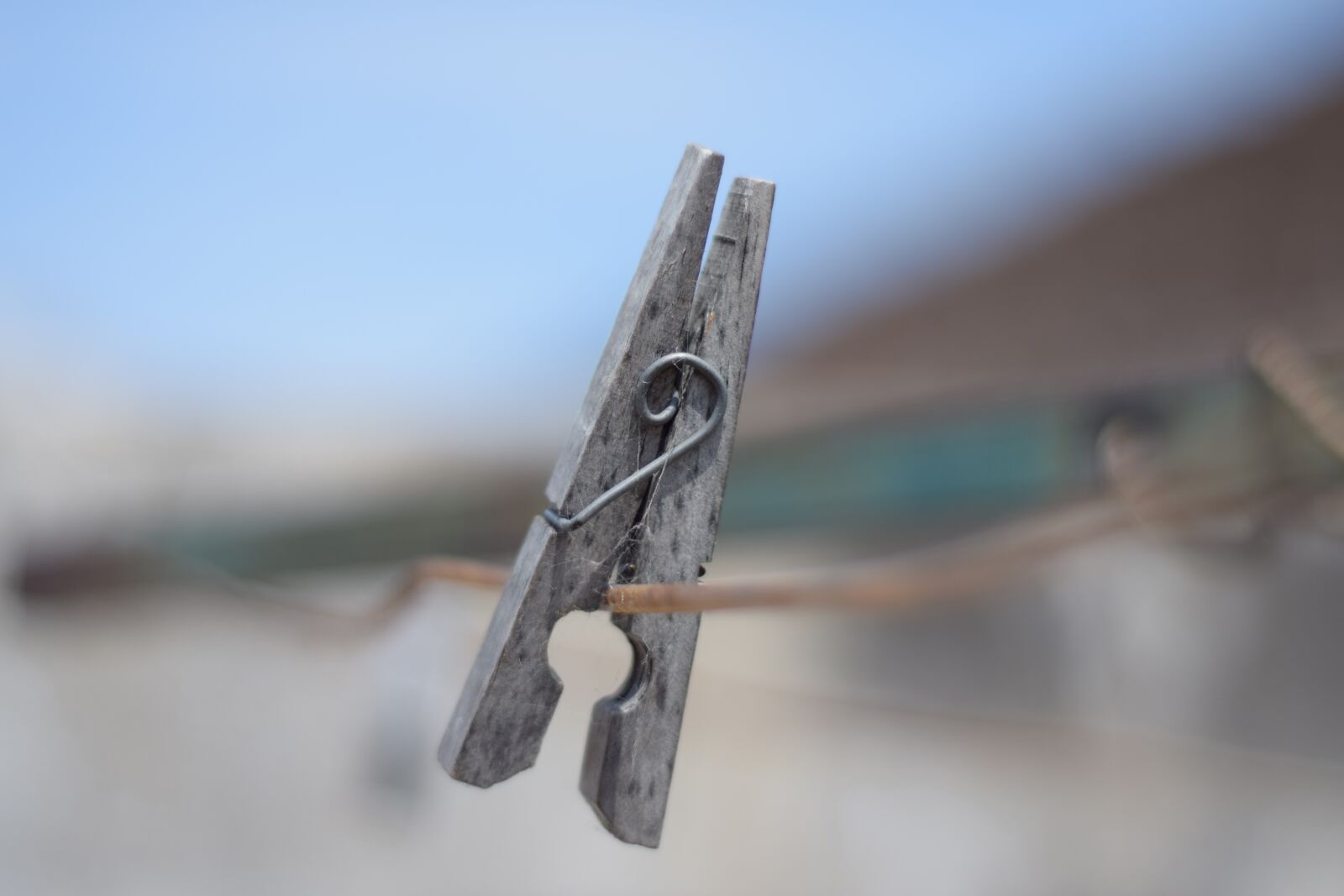 Nikon D3300 sample photo. Brooch, clothing, tend photography