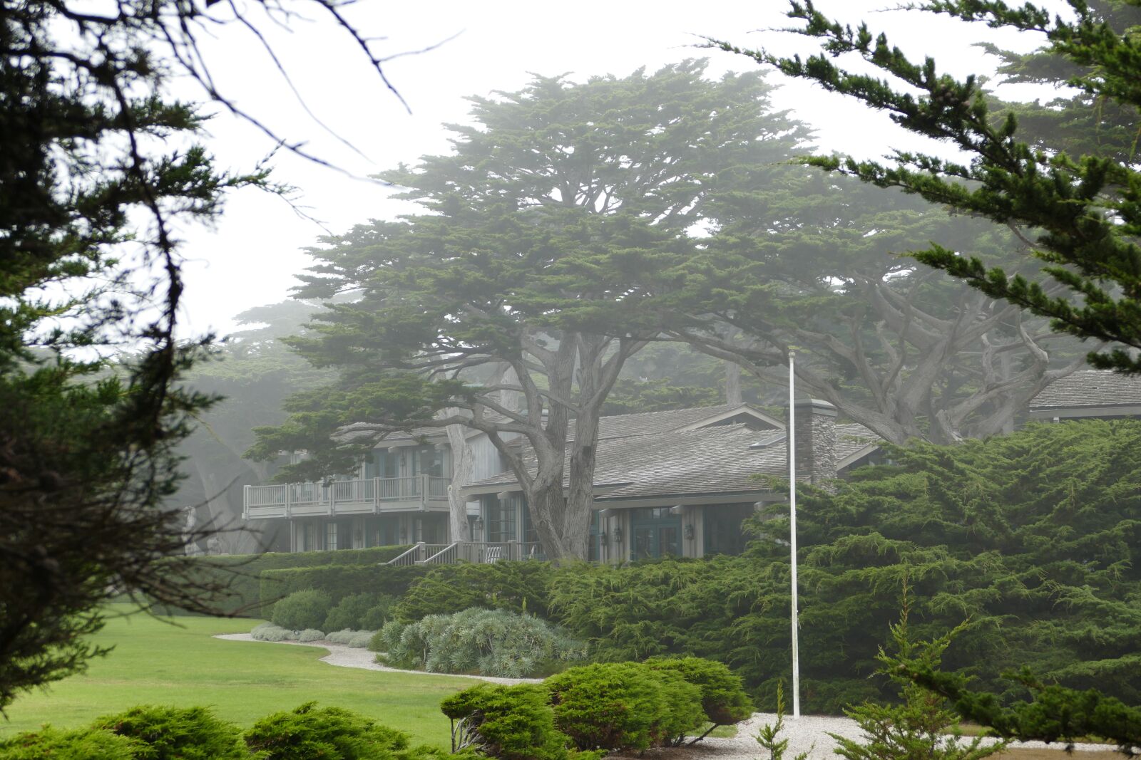 Panasonic Lumix DMC-FZ1000 sample photo. House, wood, monterey photography