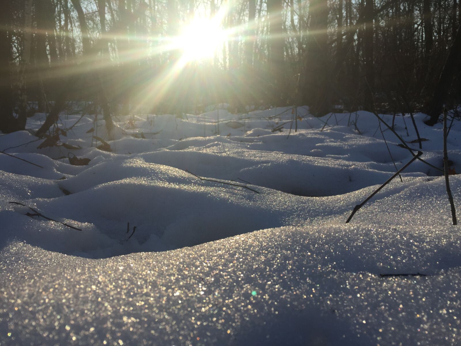 iPhone 6 Plus back camera 4.15mm f/2.2 sample photo. Winter, snow, sun photography