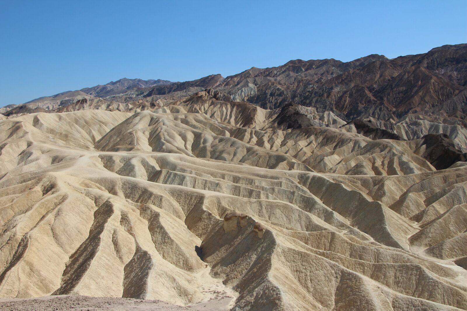Canon EOS 600D (Rebel EOS T3i / EOS Kiss X5) sample photo. Dune, desert, usa photography