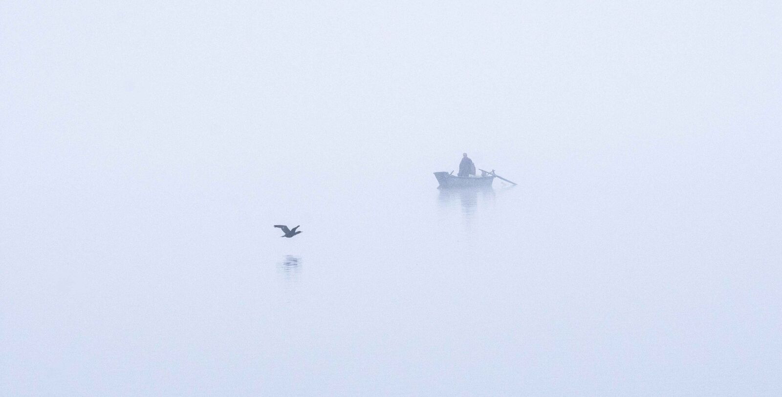 Nikon D7200 sample photo. Bird, lake, boat photography