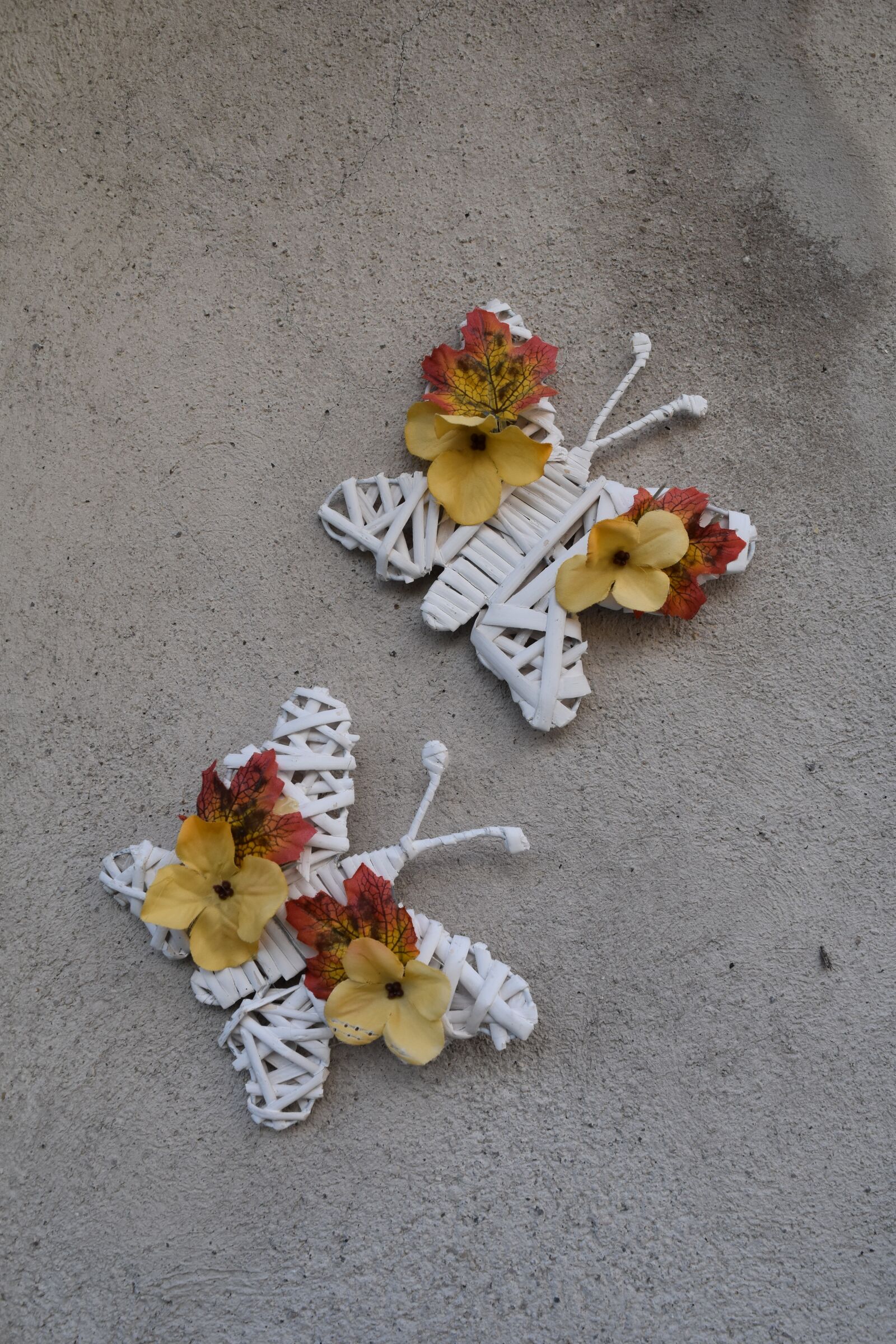 Nikon D5500 sample photo. Butterfly, butterflies, flowers photography
