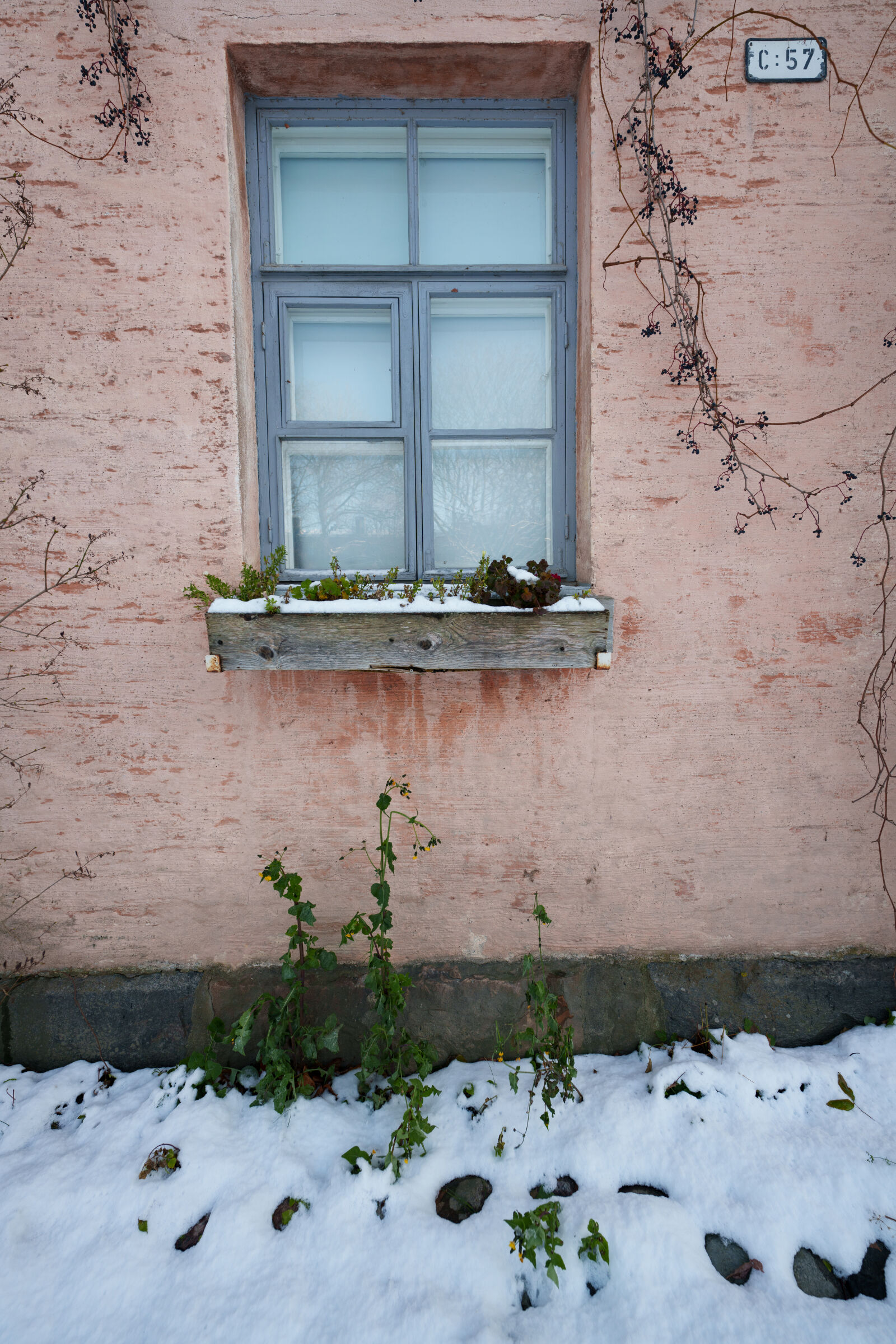 Sigma 14mm F1.4 DG DN sample photo. Window planting photography