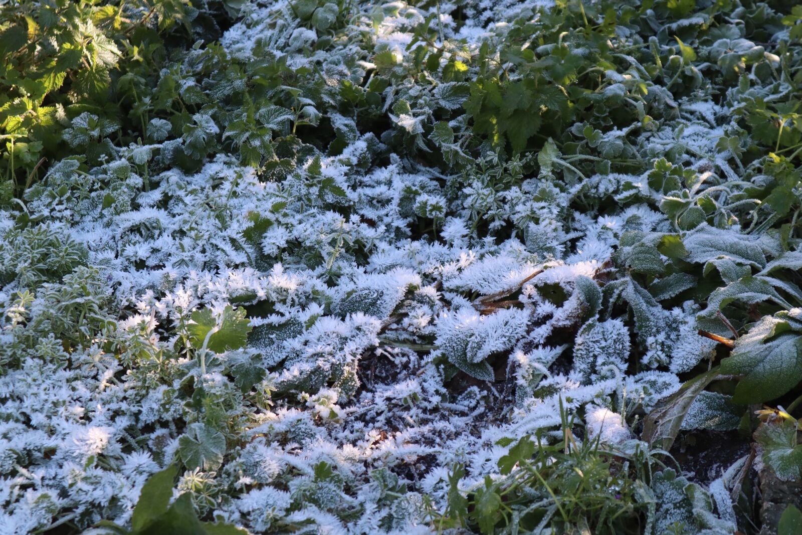 Canon EF-M 15-45mm F3.5-6.3 IS STM sample photo. Snow, could, weather photography