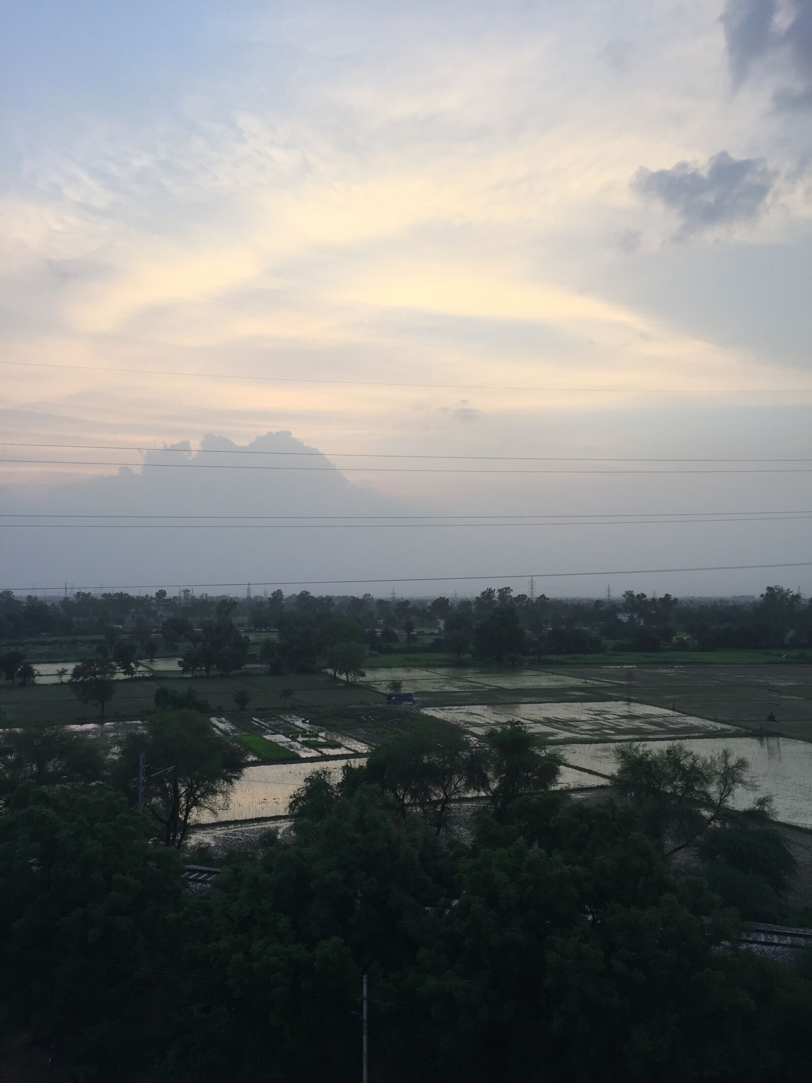 Apple iPhone 6 sample photo
