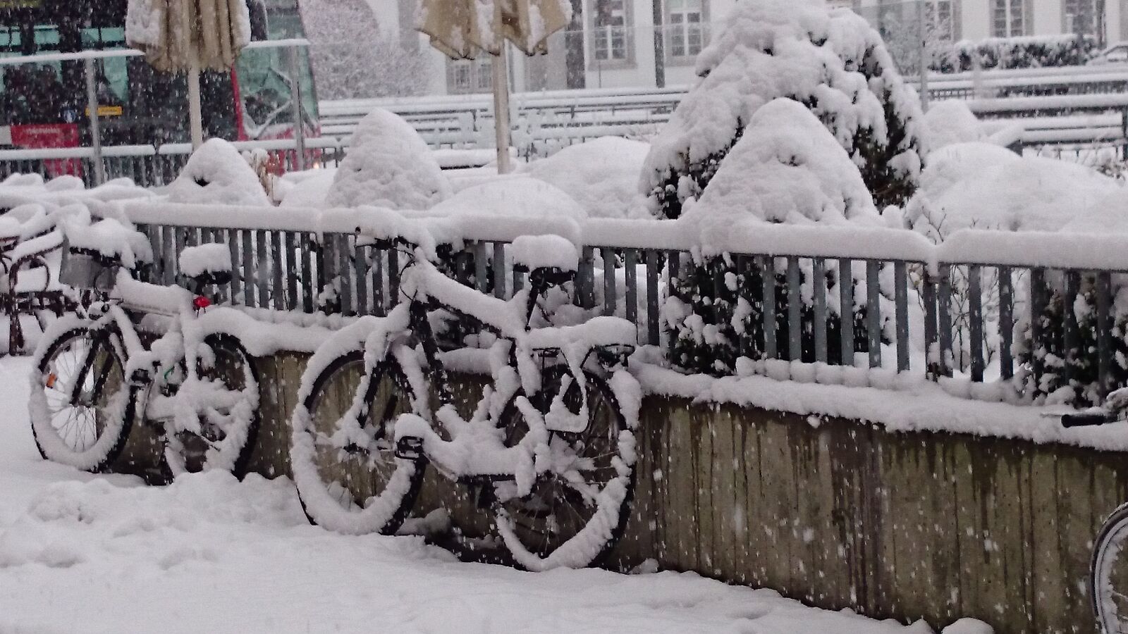 Sony Xperia Z1 Compact sample photo. Winter, snow, biel photography